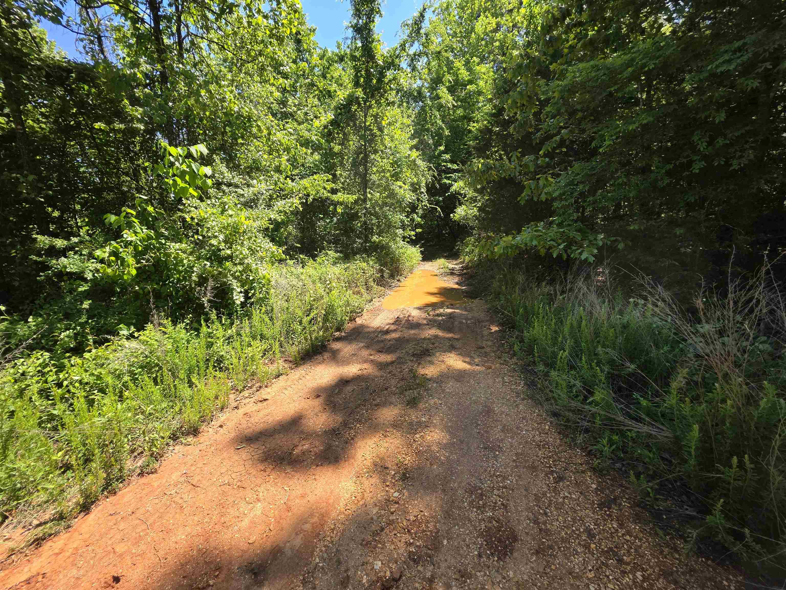 L43, 44 White Horse Mountain  Hardy, AR