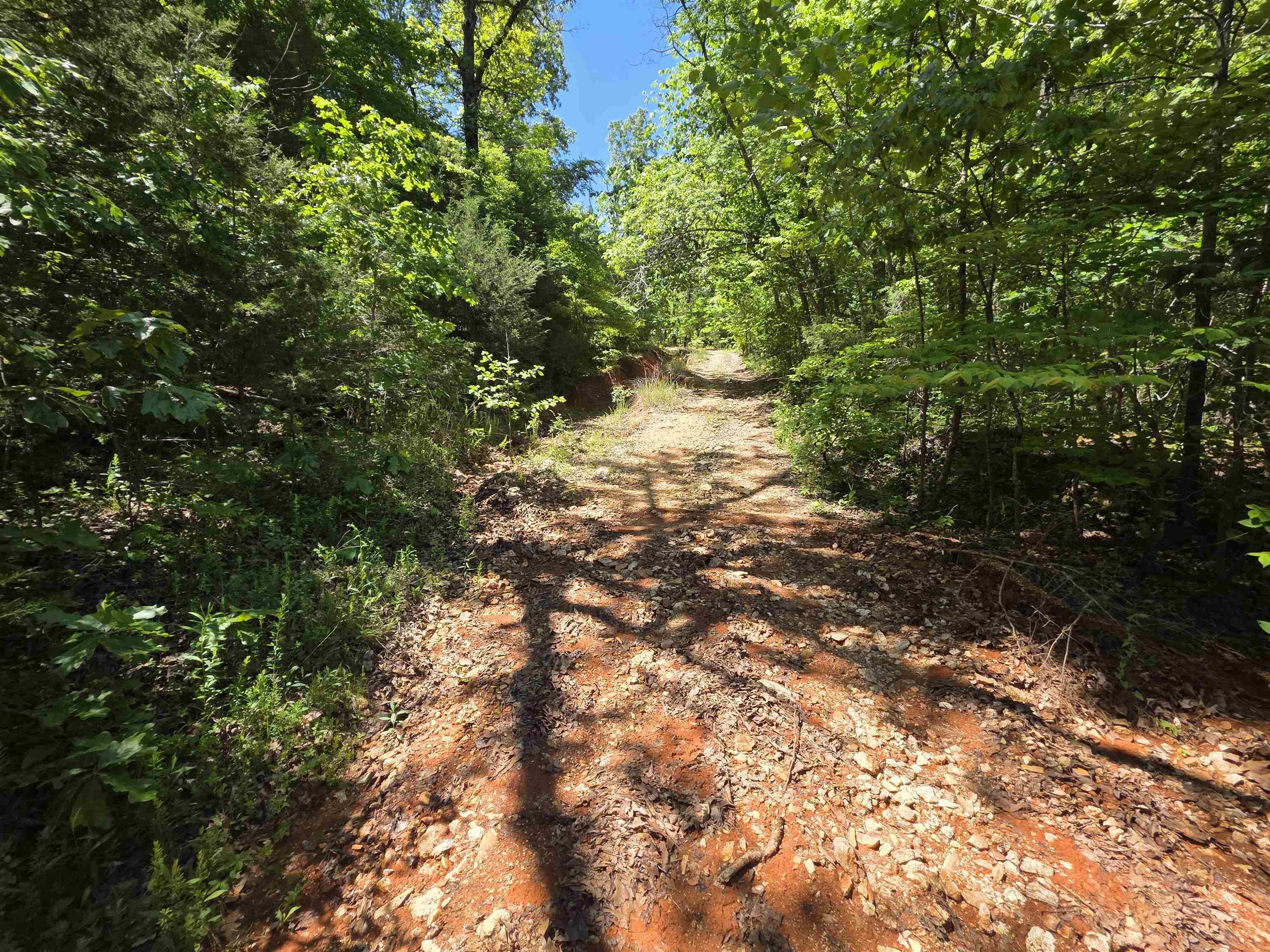 L43, 44 White Horse Mountain  Hardy, AR