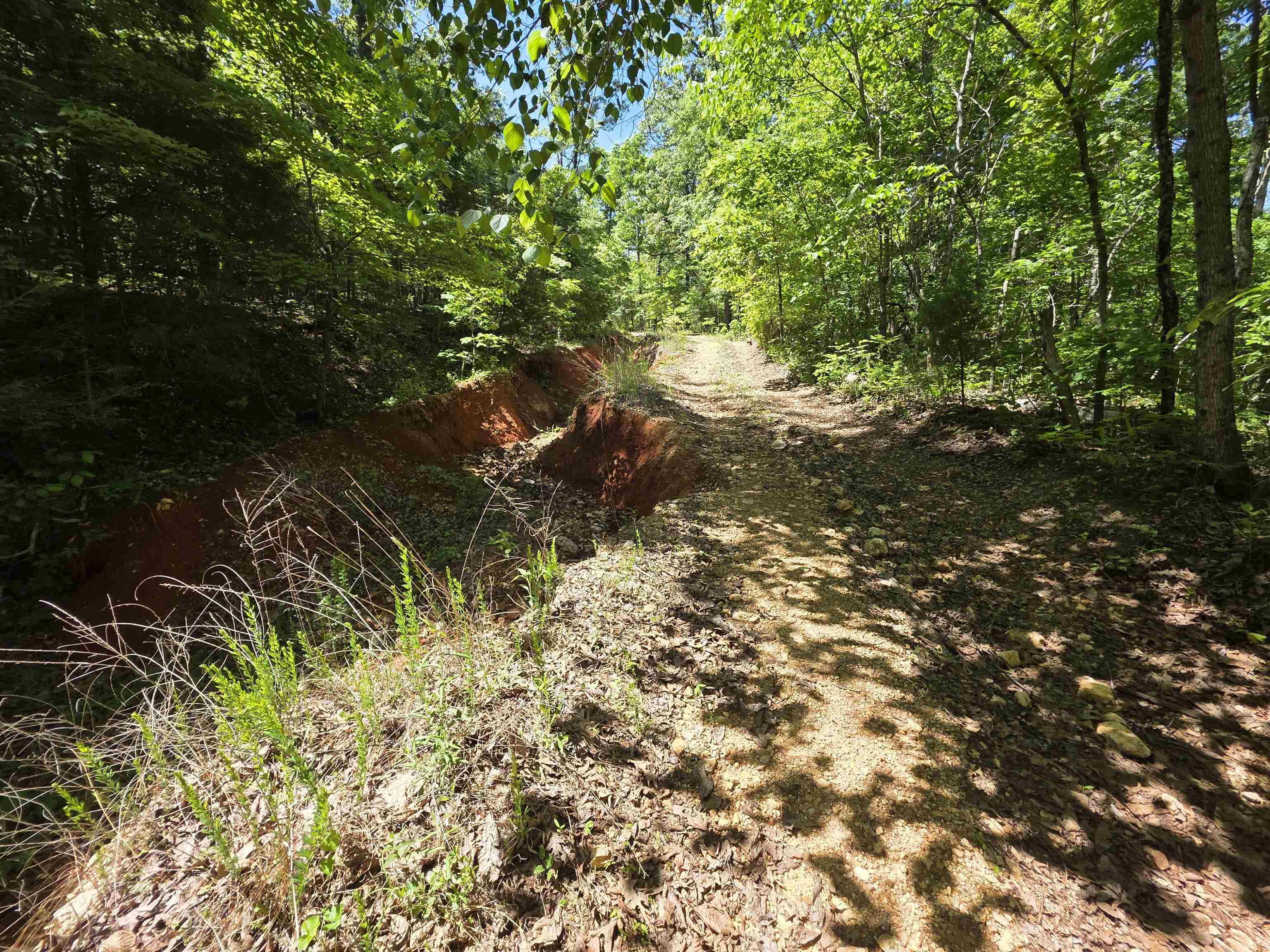 L43, 44 White Horse Mountain  Hardy, AR