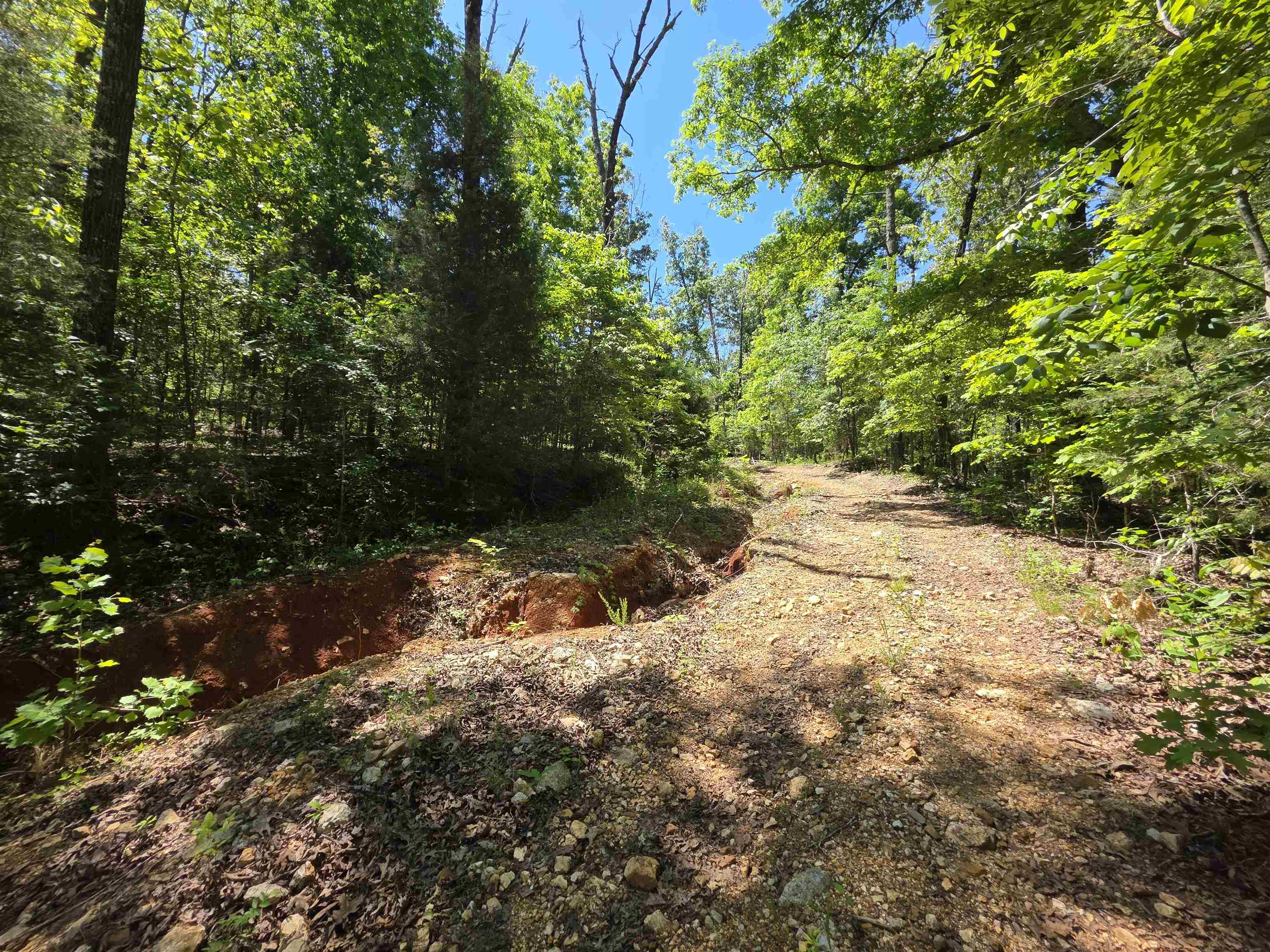 L43, 44 White Horse Mountain  Hardy, AR