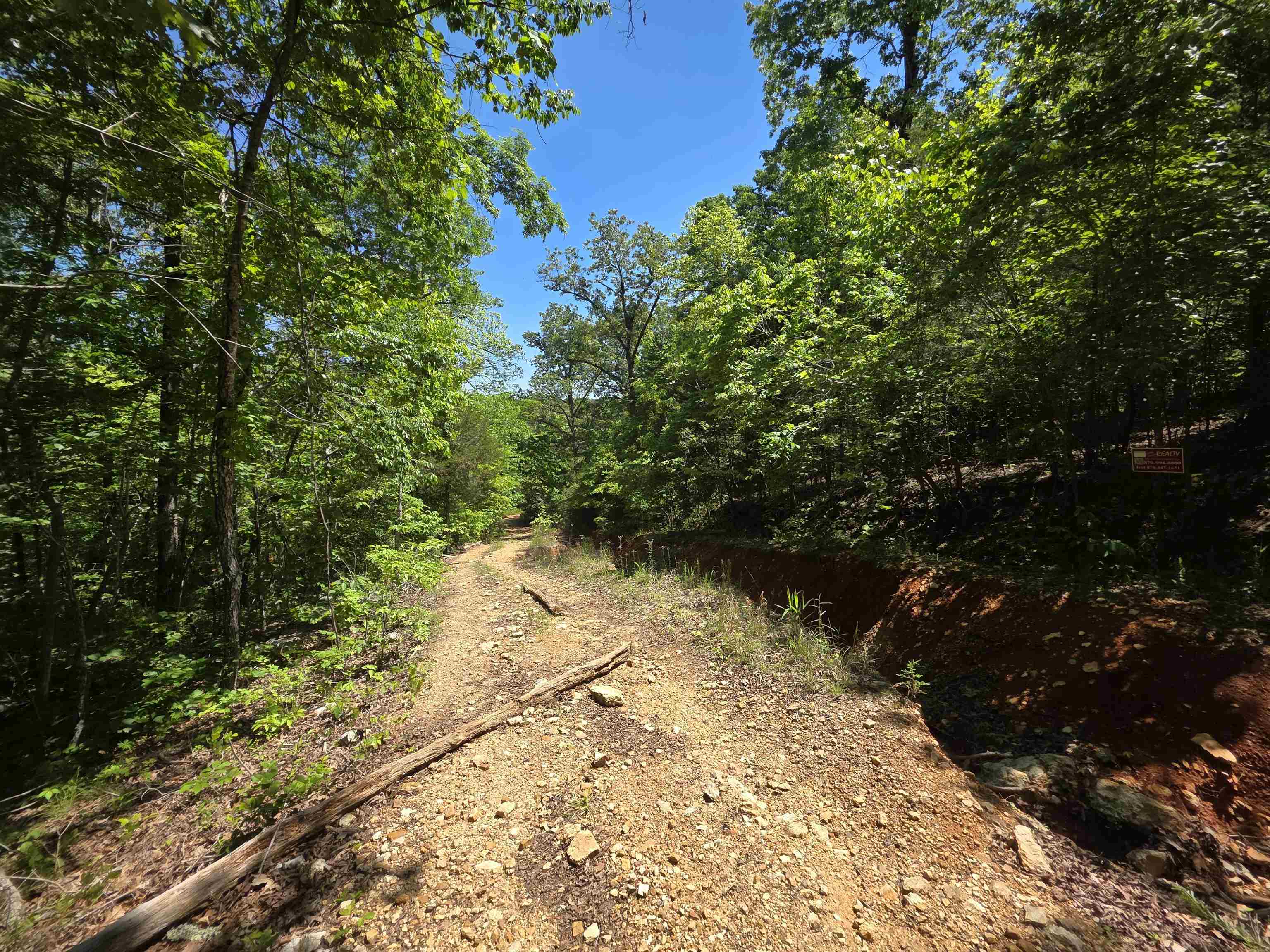 L43, 44 White Horse Mountain  Hardy, AR