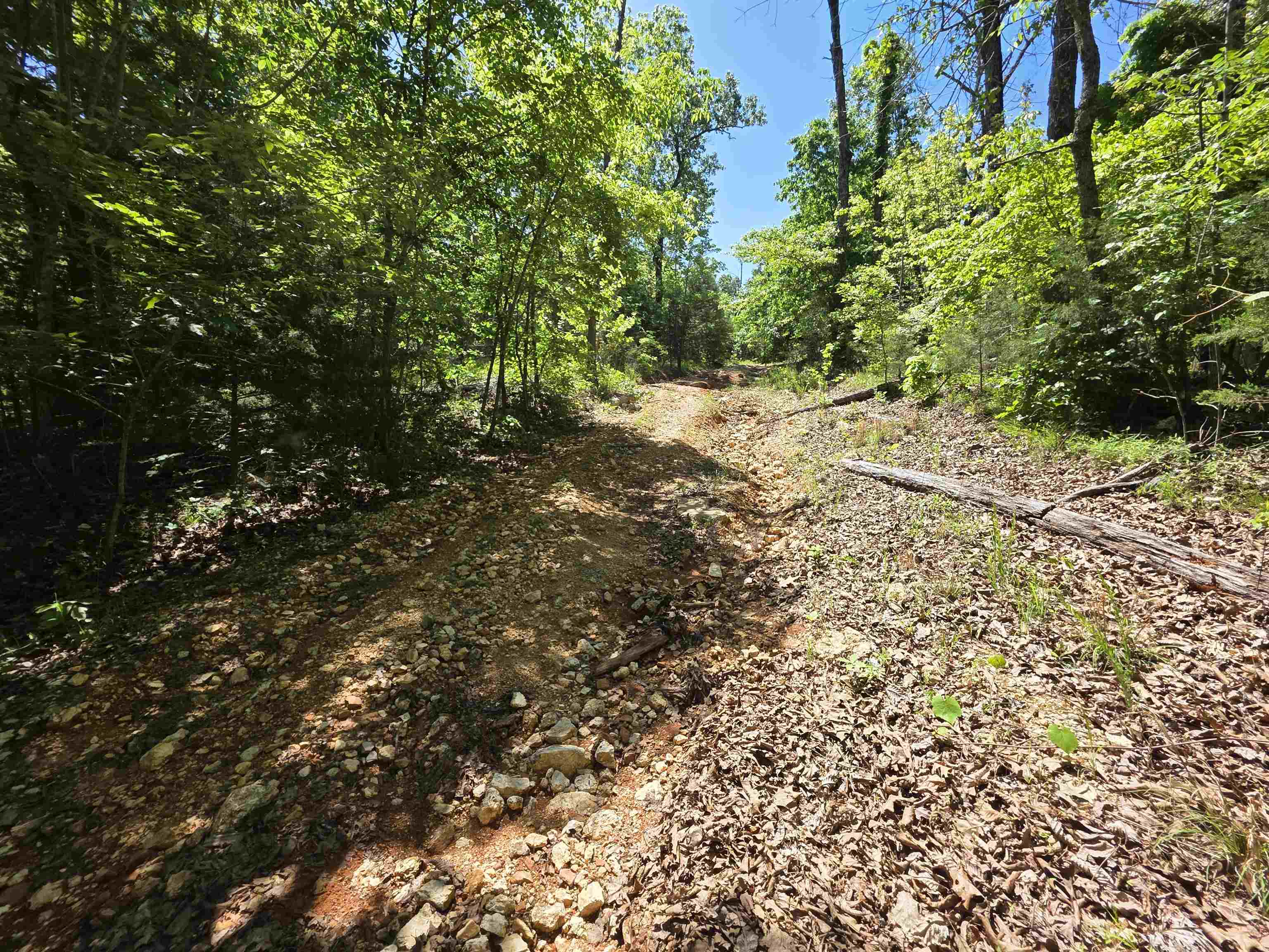 L43, 44 White Horse Mountain  Hardy, AR