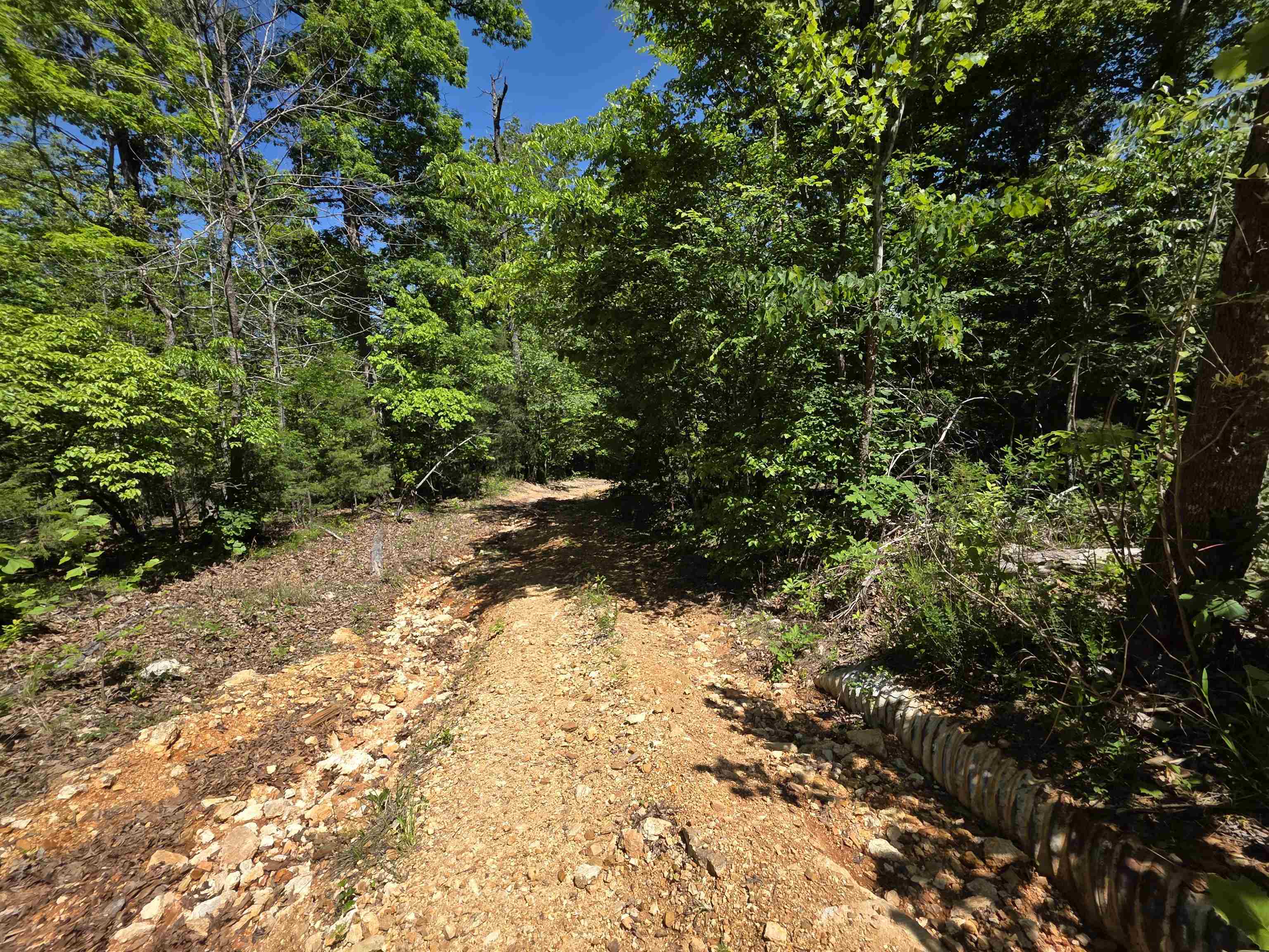 L43, 44 White Horse Mountain  Hardy, AR