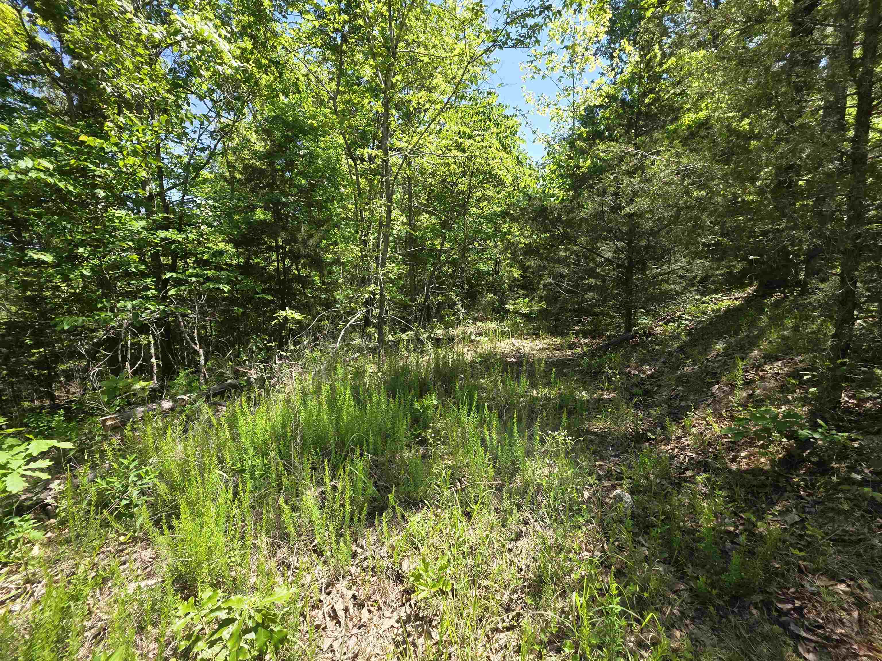 L43, 44 White Horse Mountain  Hardy, AR