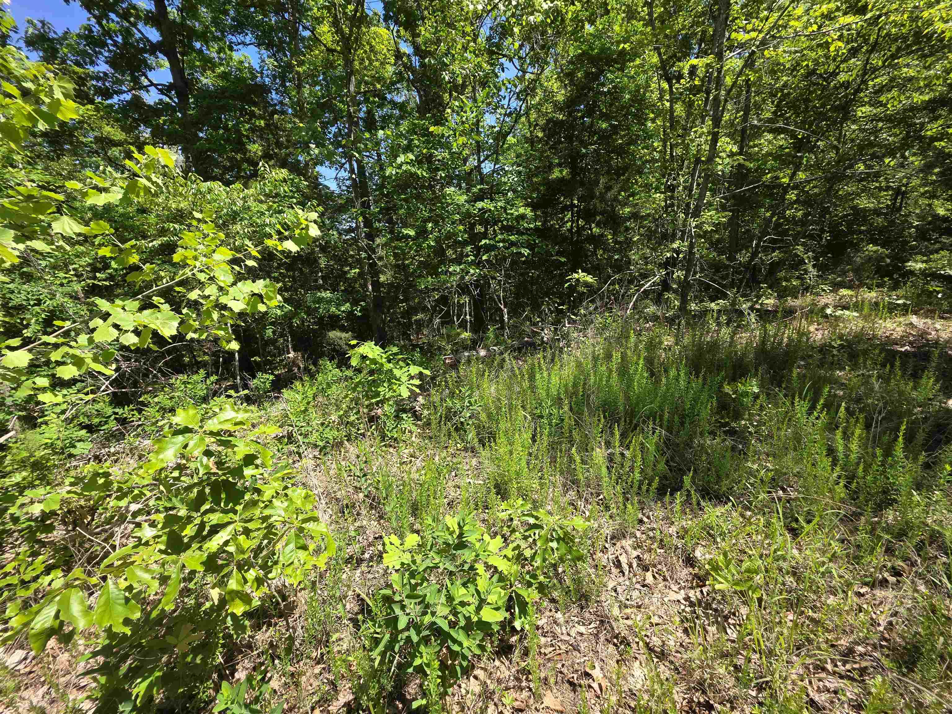 L43, 44 White Horse Mountain  Hardy, AR