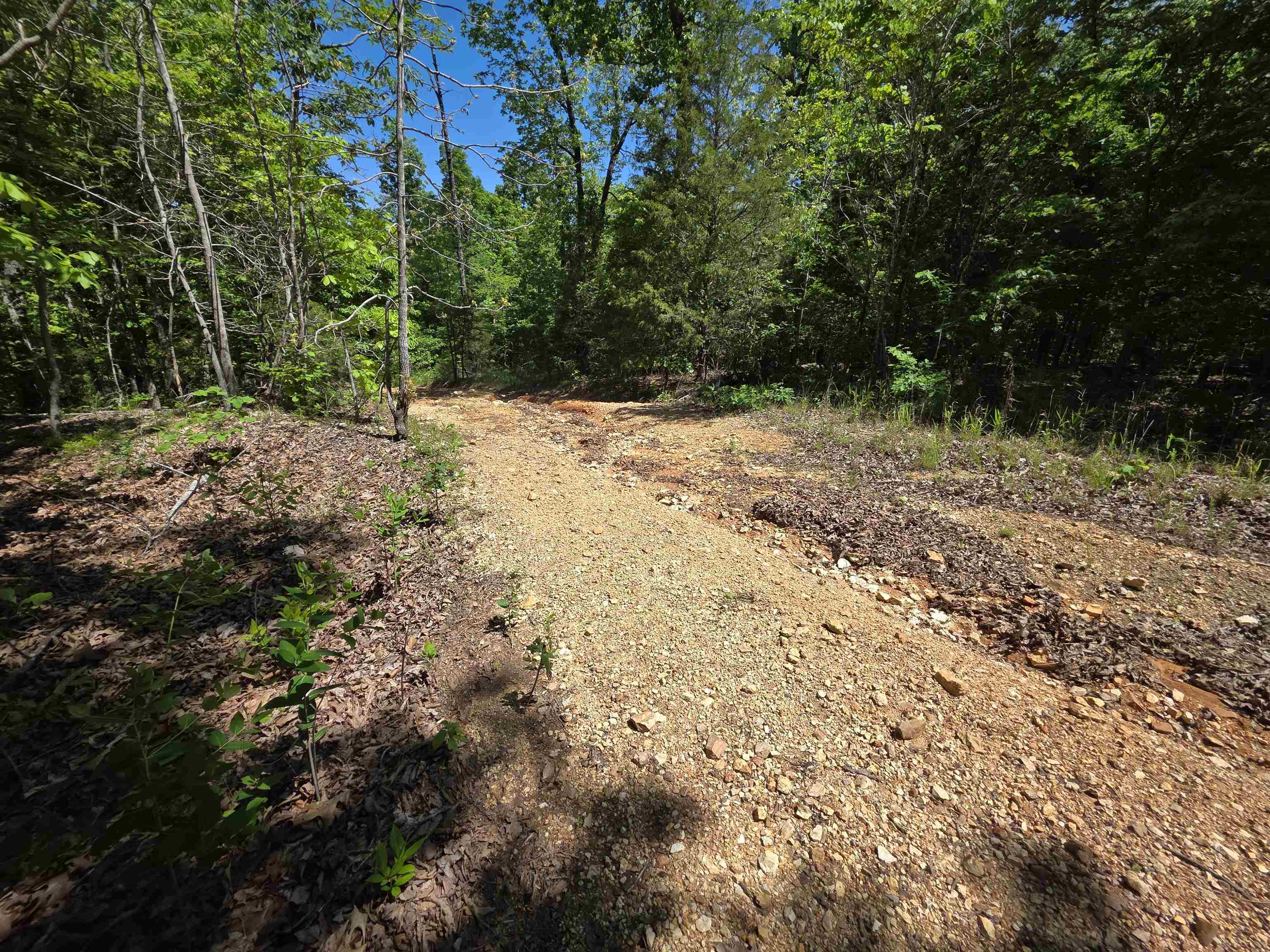 L43, 44 White Horse Mountain  Hardy, AR