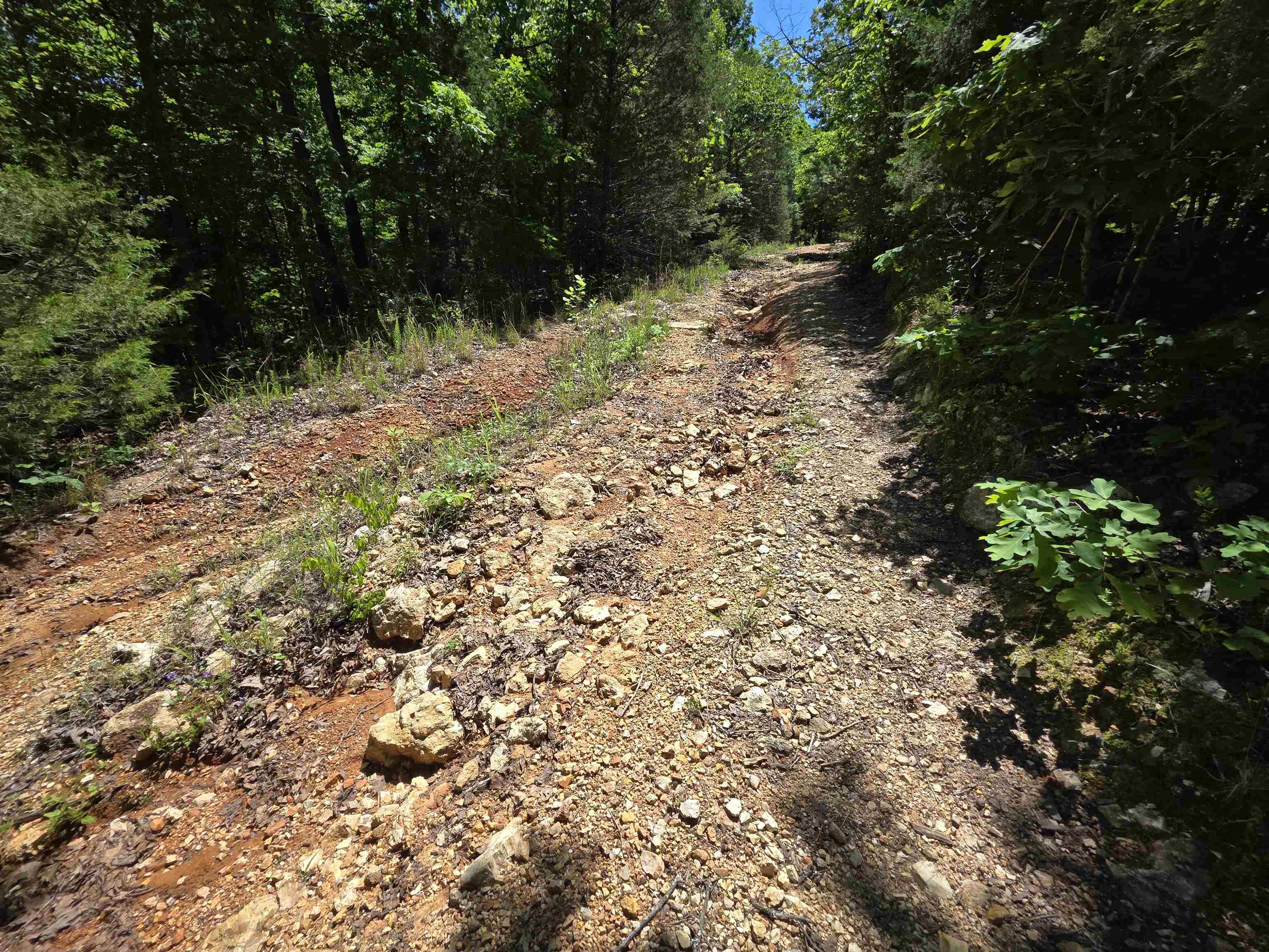 L43, 44 White Horse Mountain  Hardy, AR