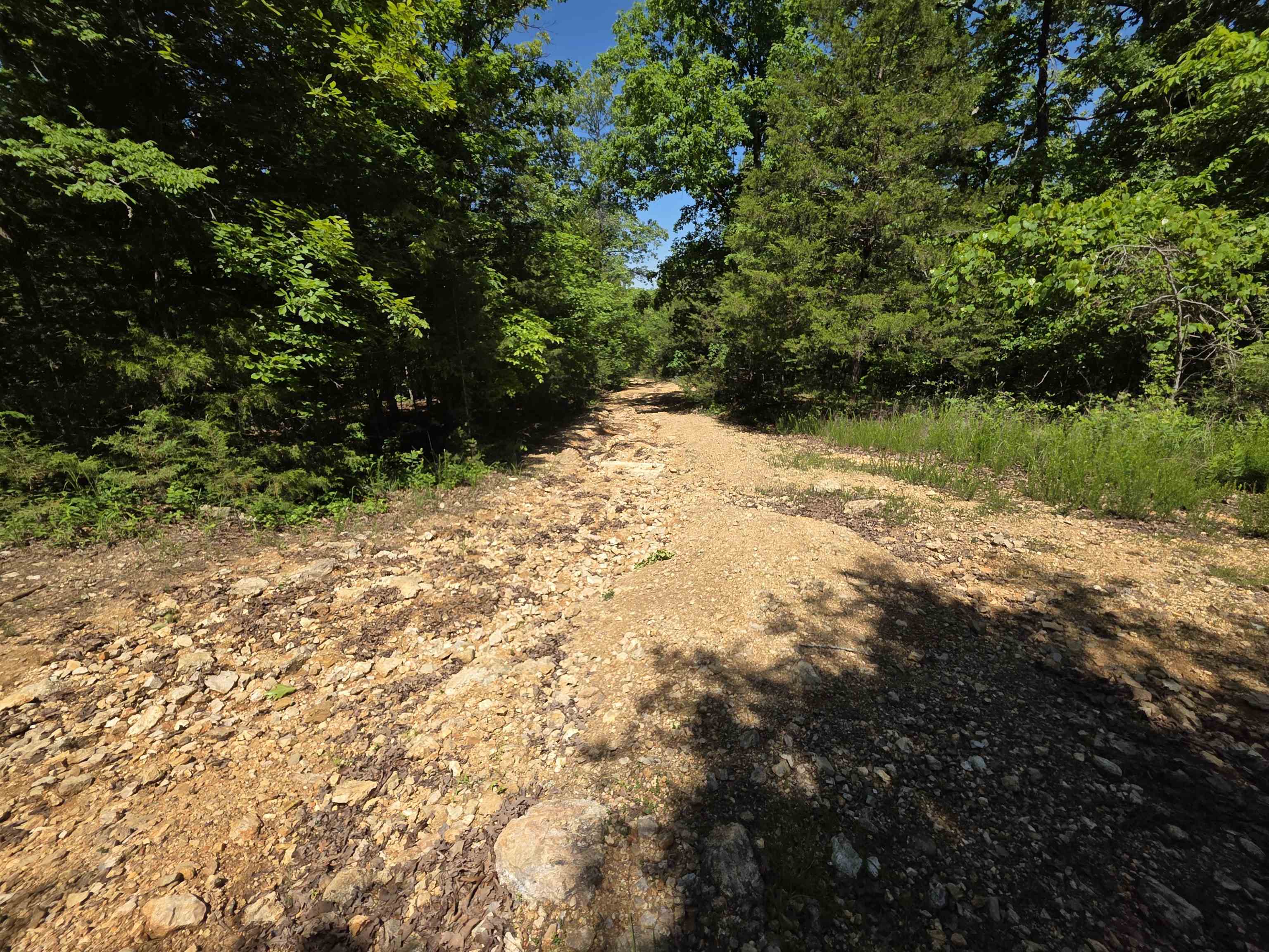 L43, 44 White Horse Mountain  Hardy, AR