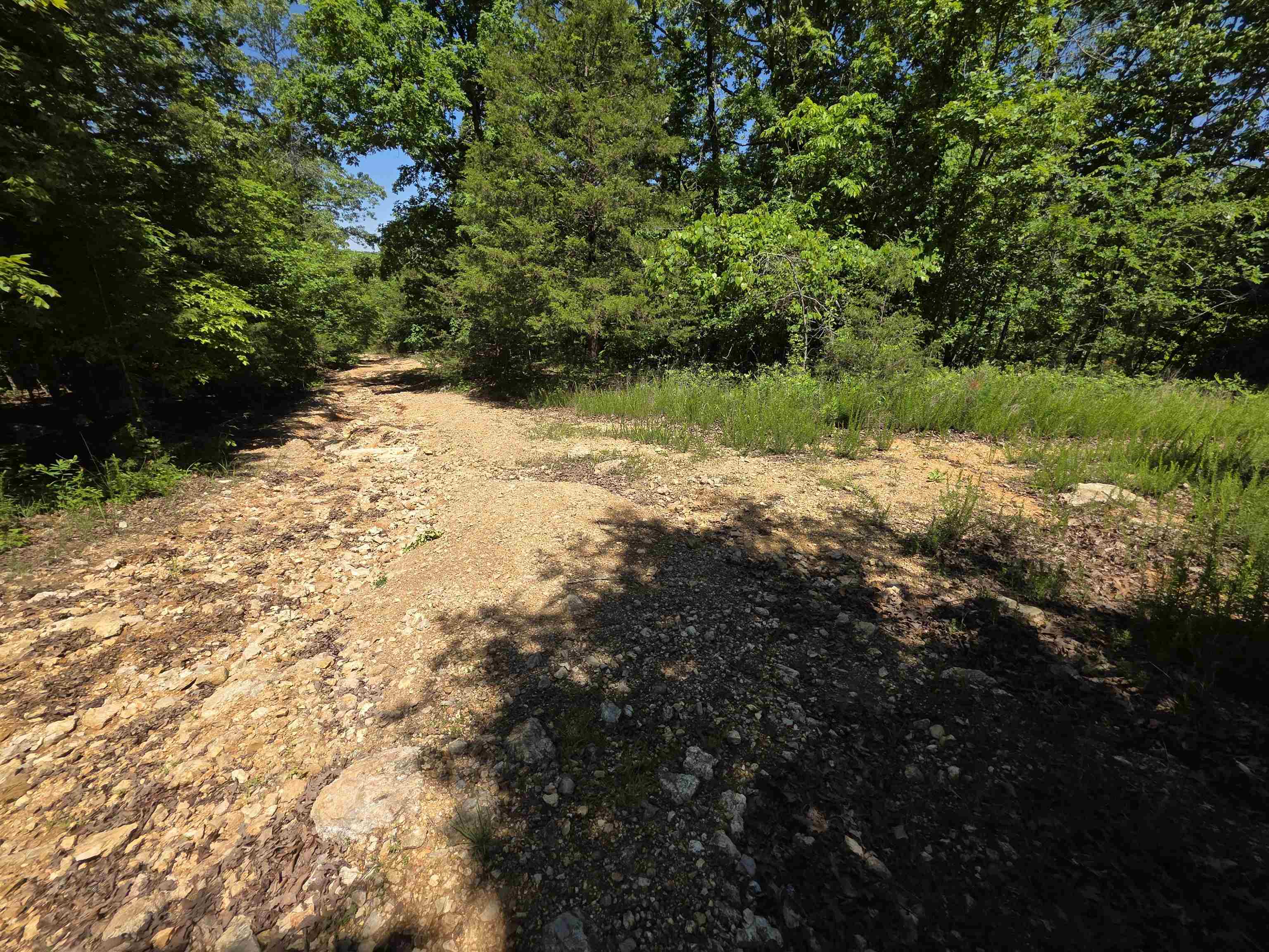 L43, 44 White Horse Mountain  Hardy, AR