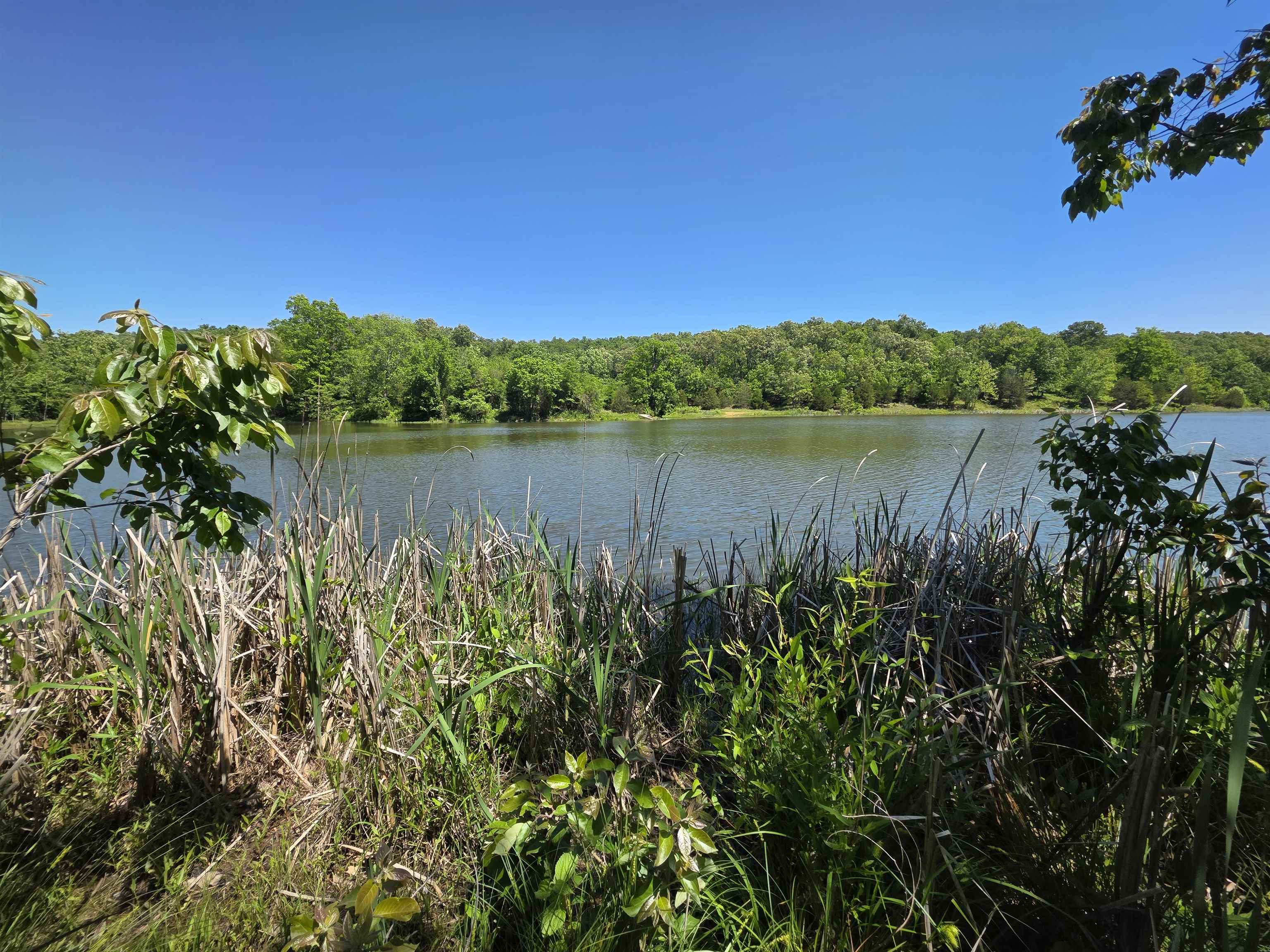 L43, 44 White Horse Mountain  Hardy, AR
