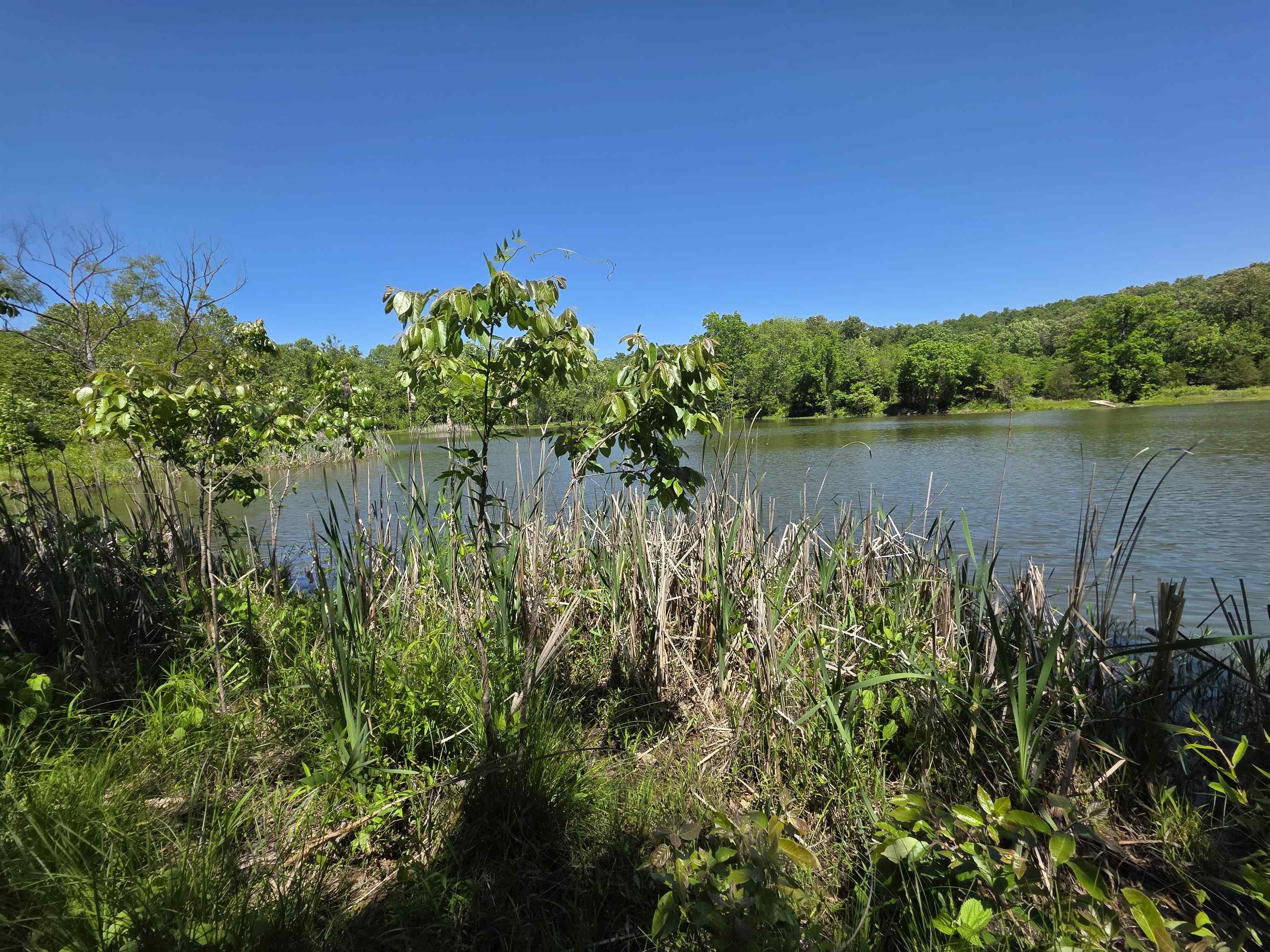 L43, 44 White Horse Mountain  Hardy, AR