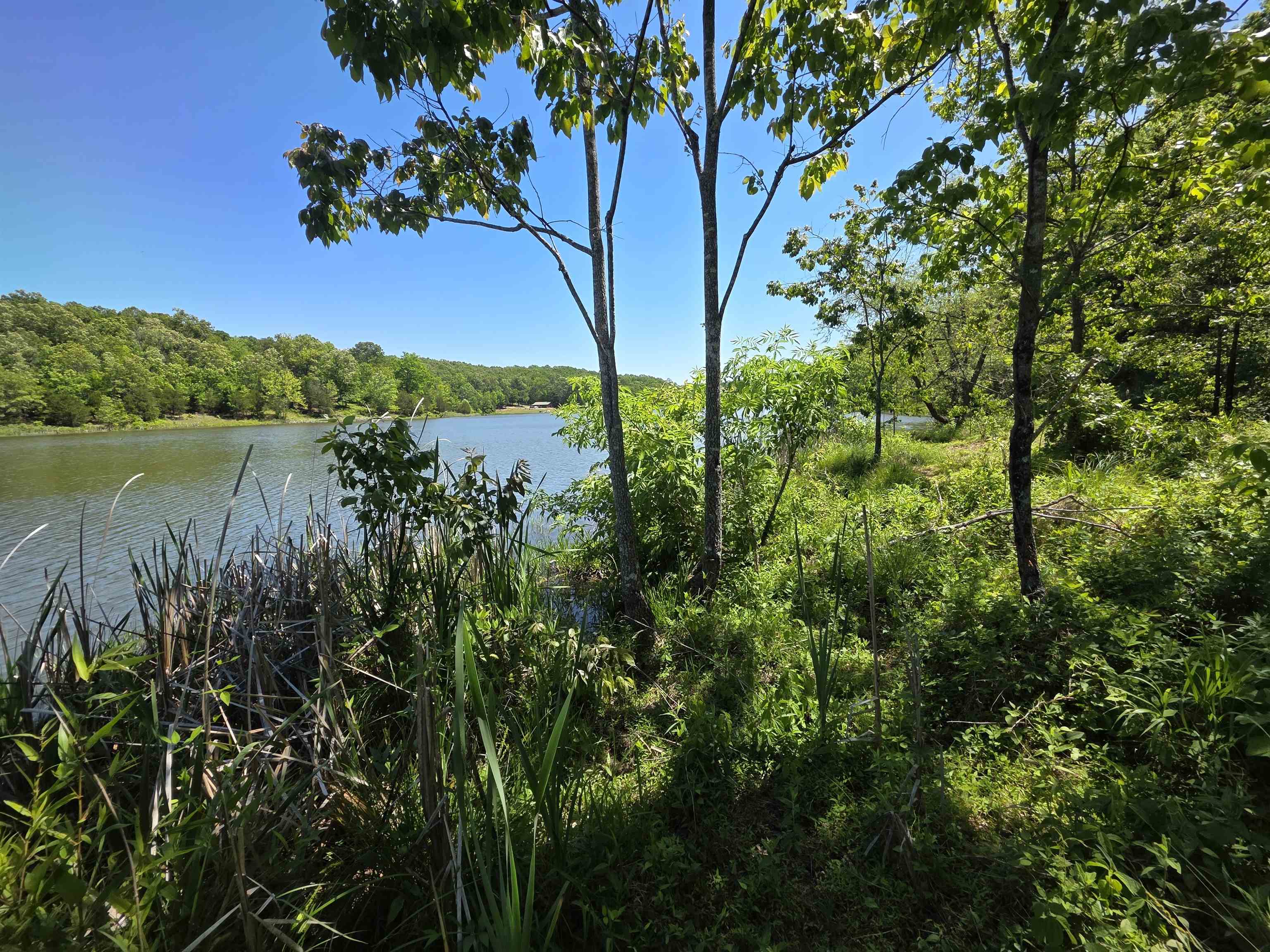 L43, 44 White Horse Mountain  Hardy, AR