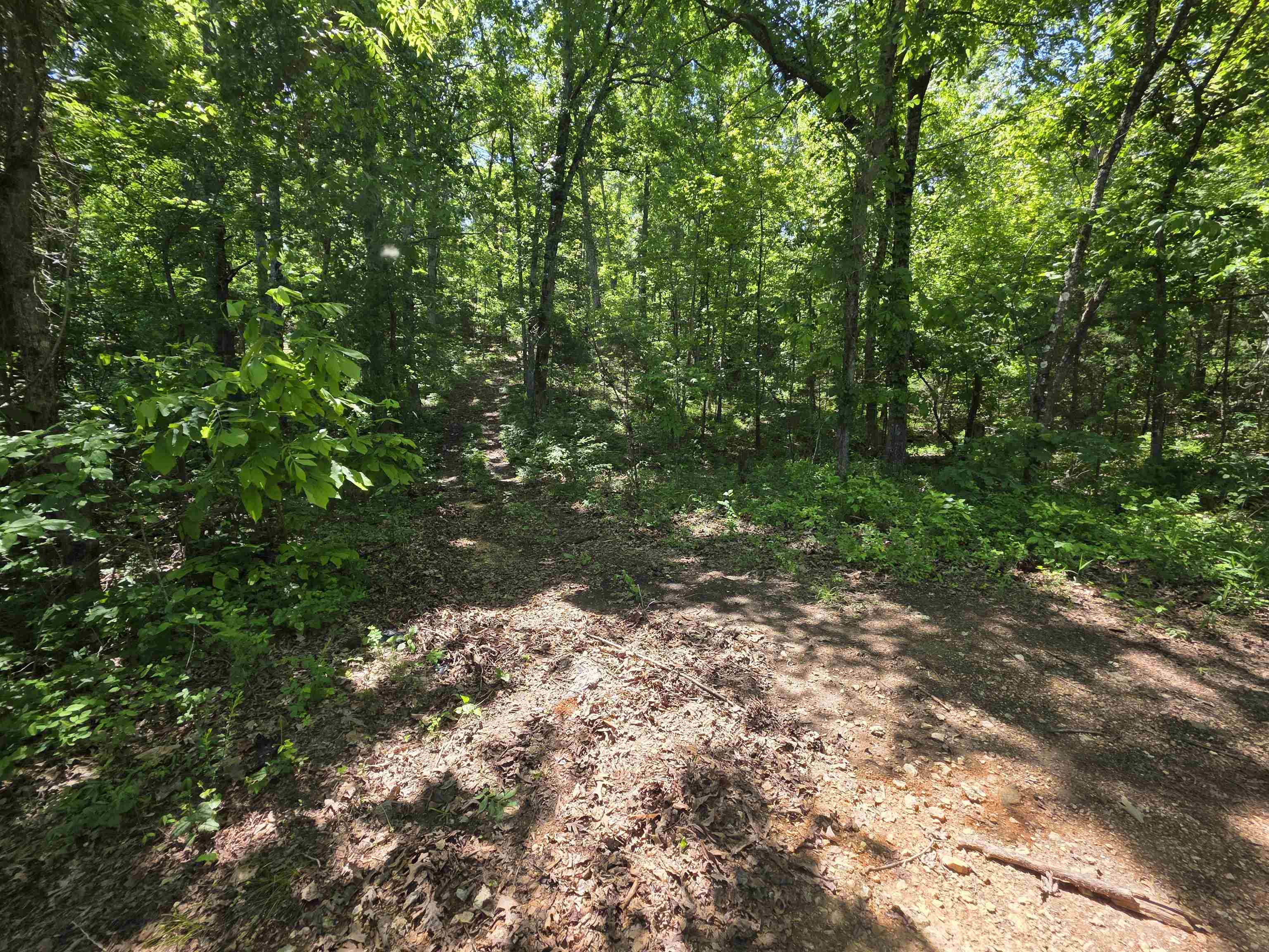 L43, 44 White Horse Mountain  Hardy, AR