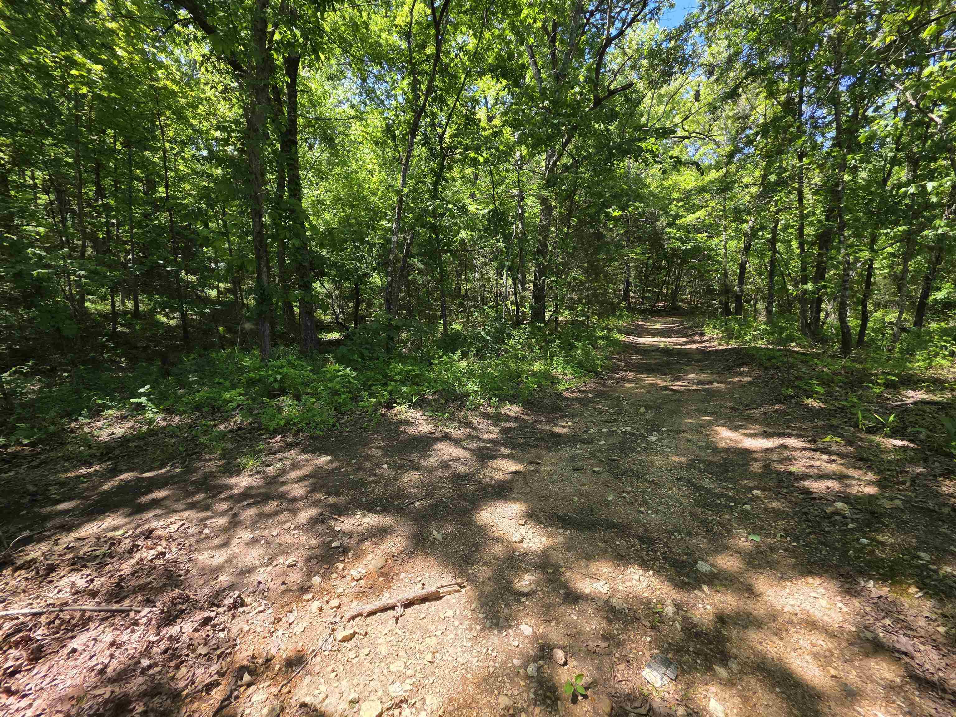 L43, 44 White Horse Mountain  Hardy, AR