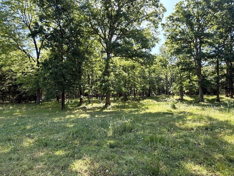 298 Hwy 63  Ravenden, AR