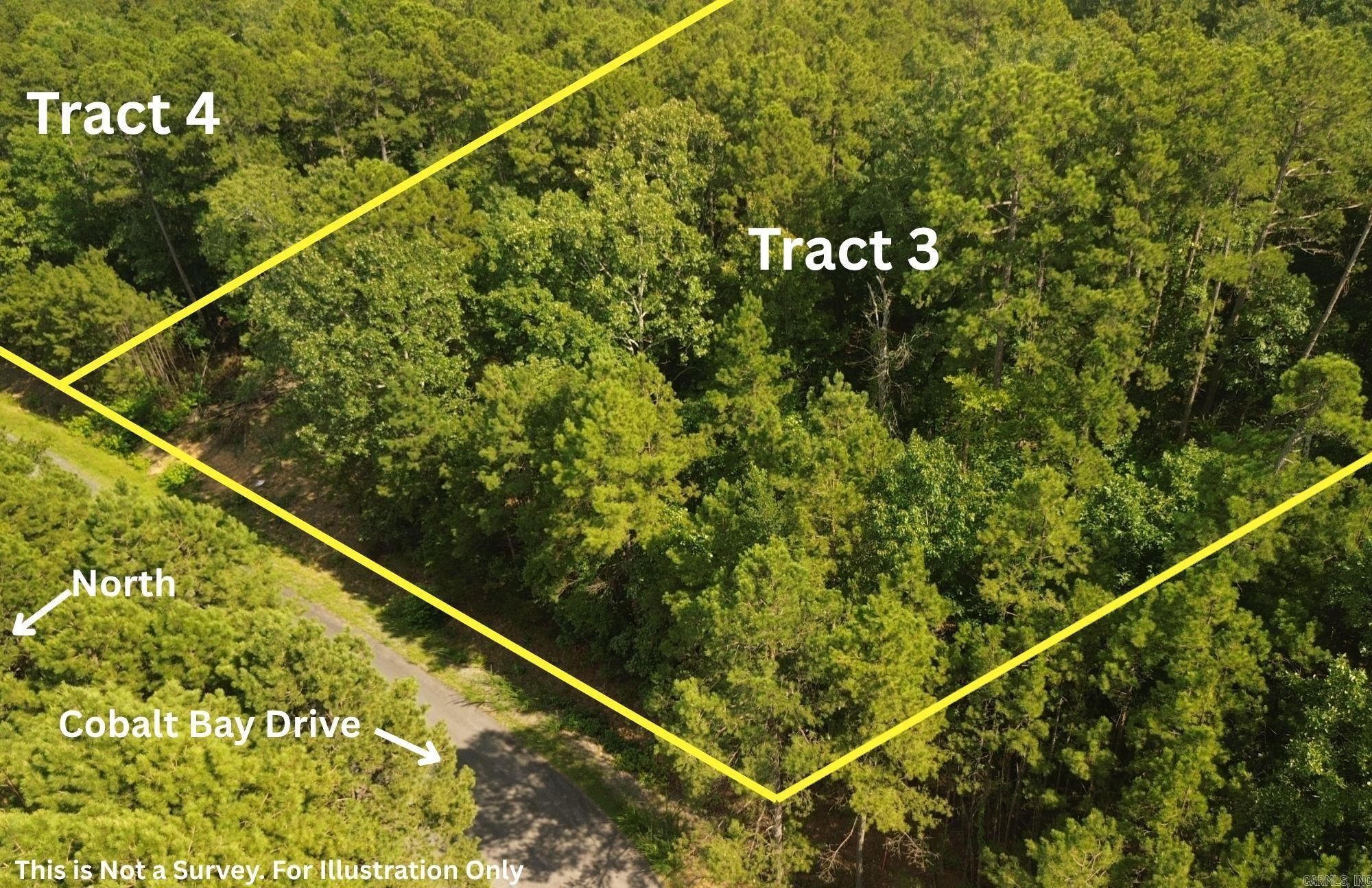 Tracts 3 & 4 Cobalt Bay Drive  Shirley, AR