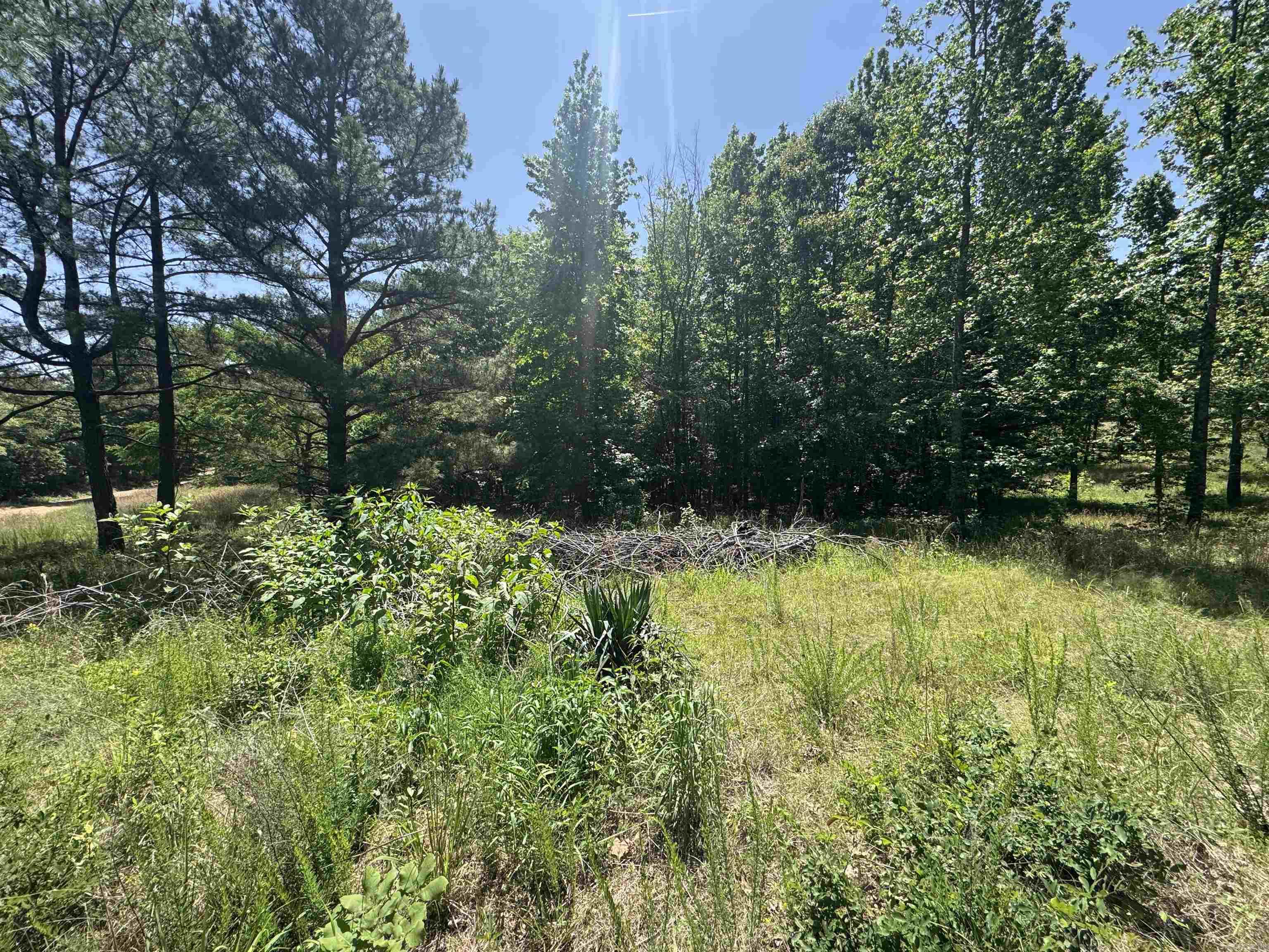 1096 CR 472  Piggott, AR