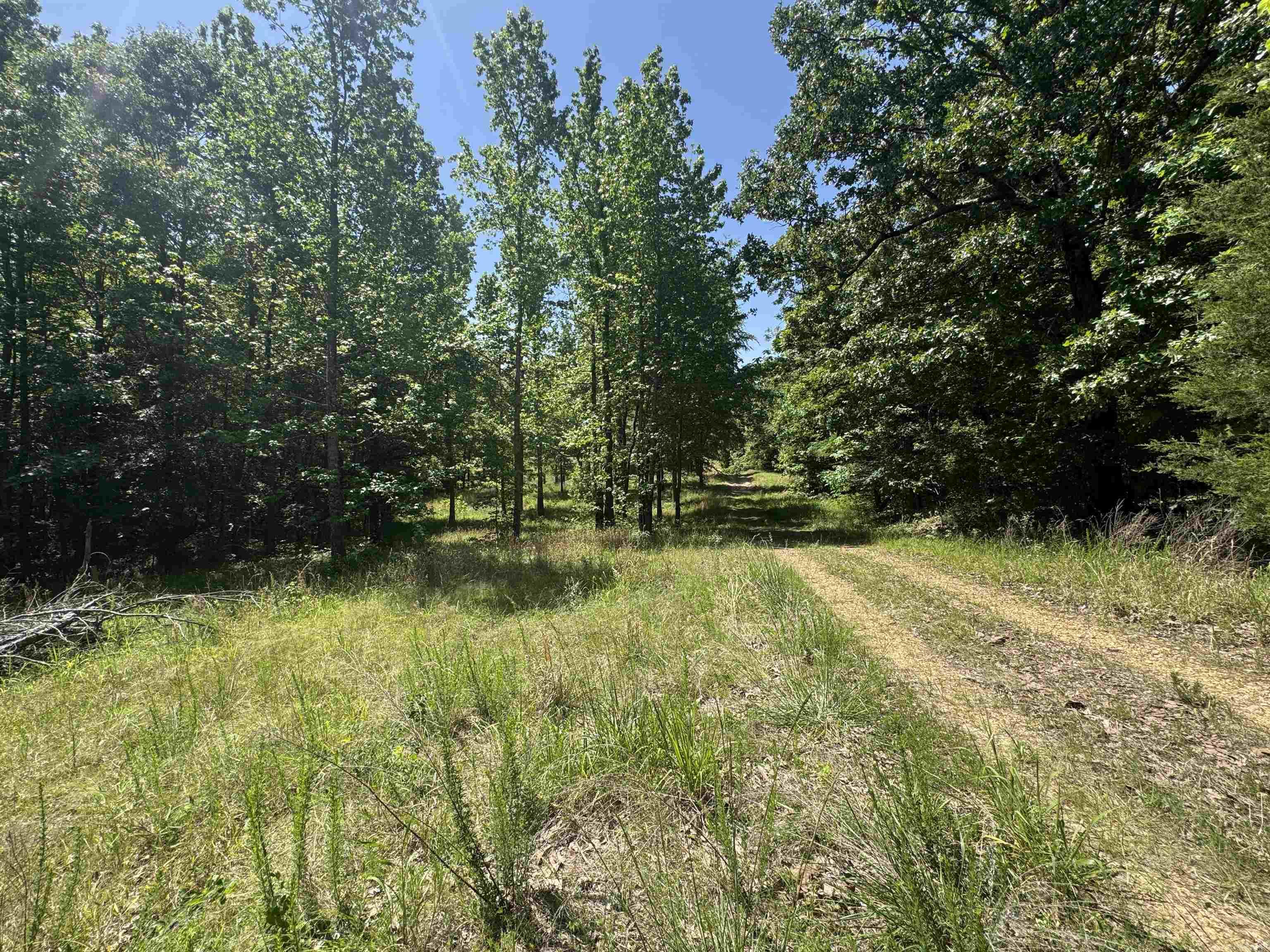 1096 CR 472  Piggott, AR