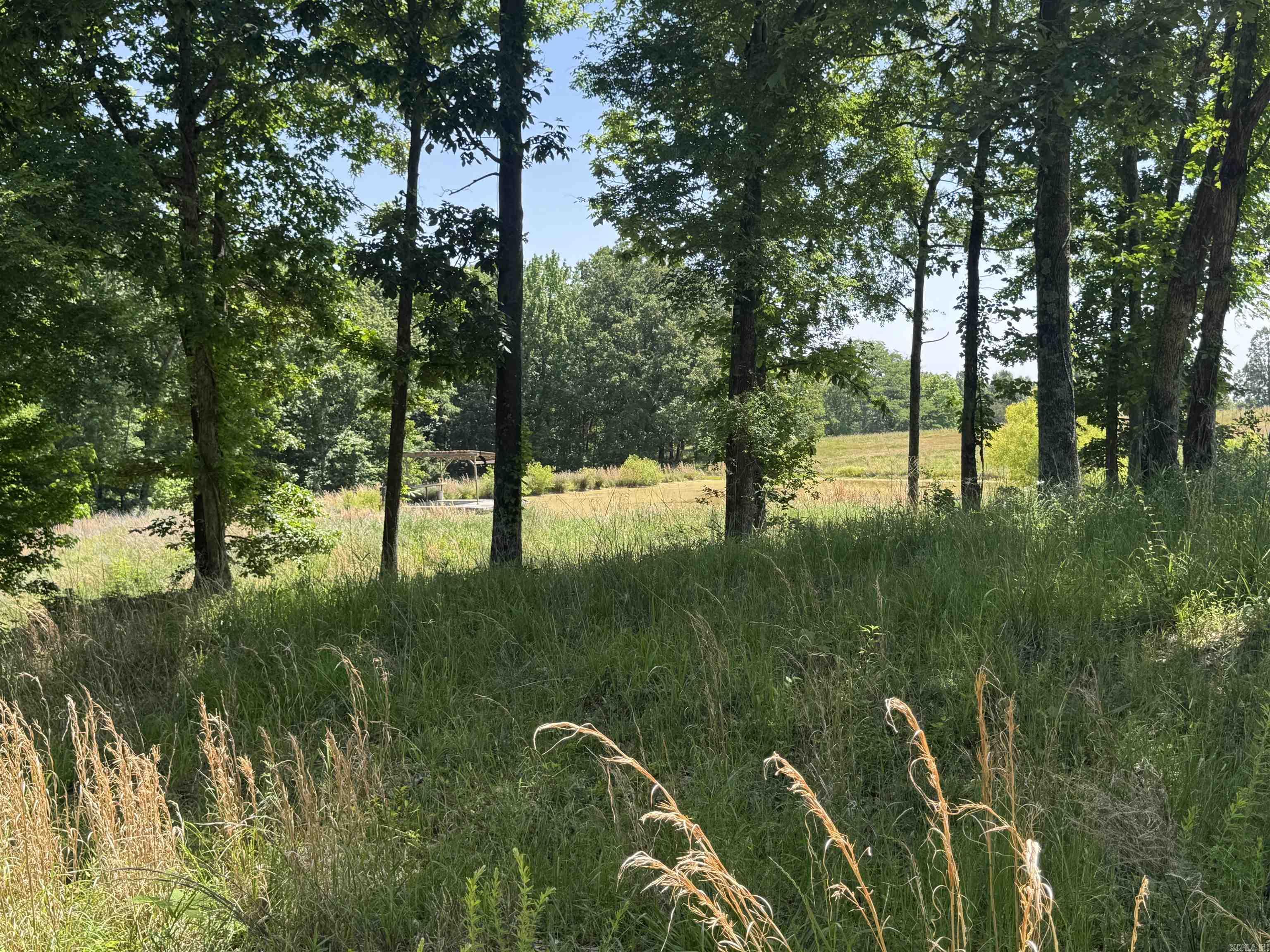 1096 CR 472  Piggott, AR