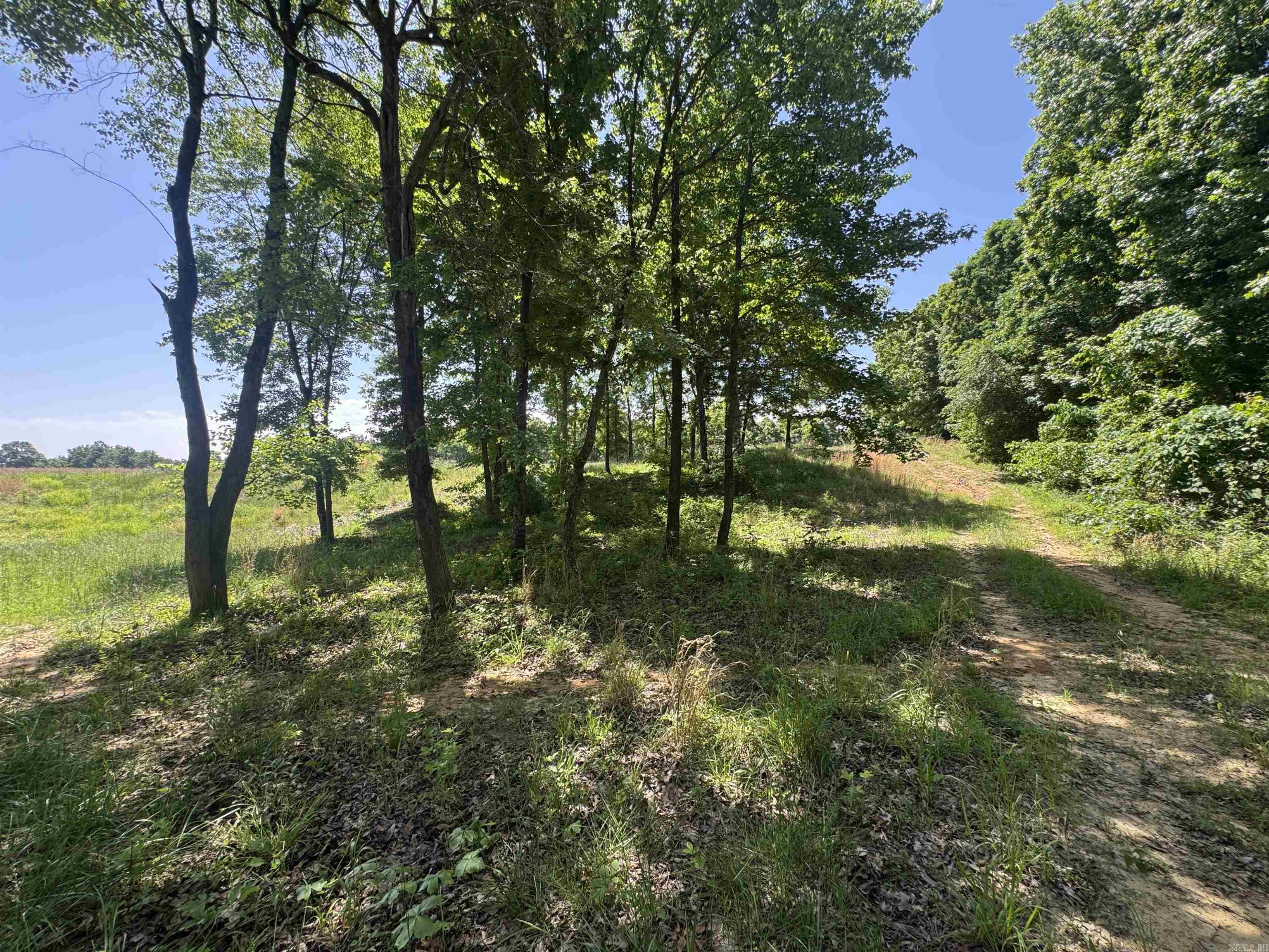1096 CR 472  Piggott, AR