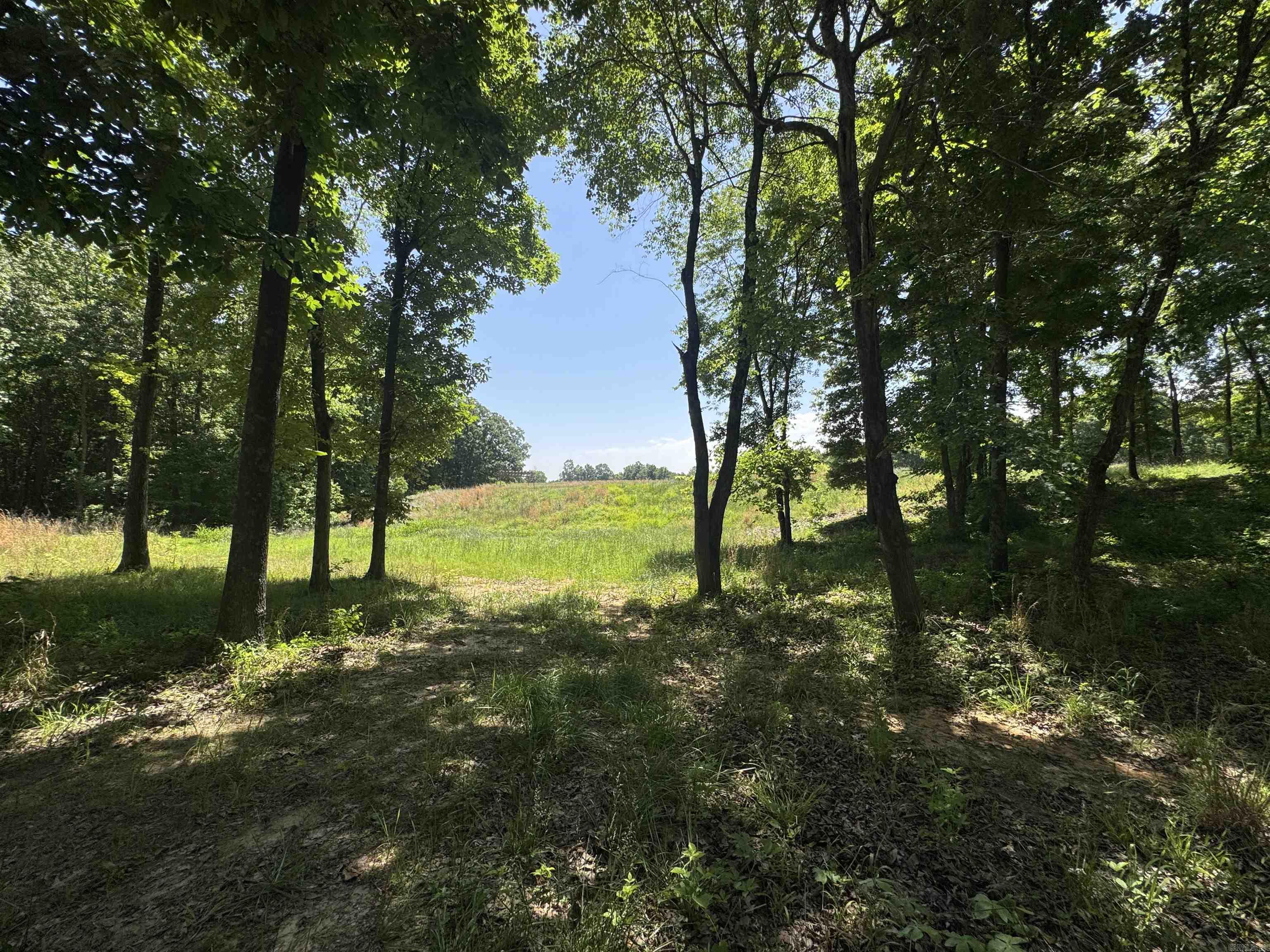 1096 CR 472  Piggott, AR