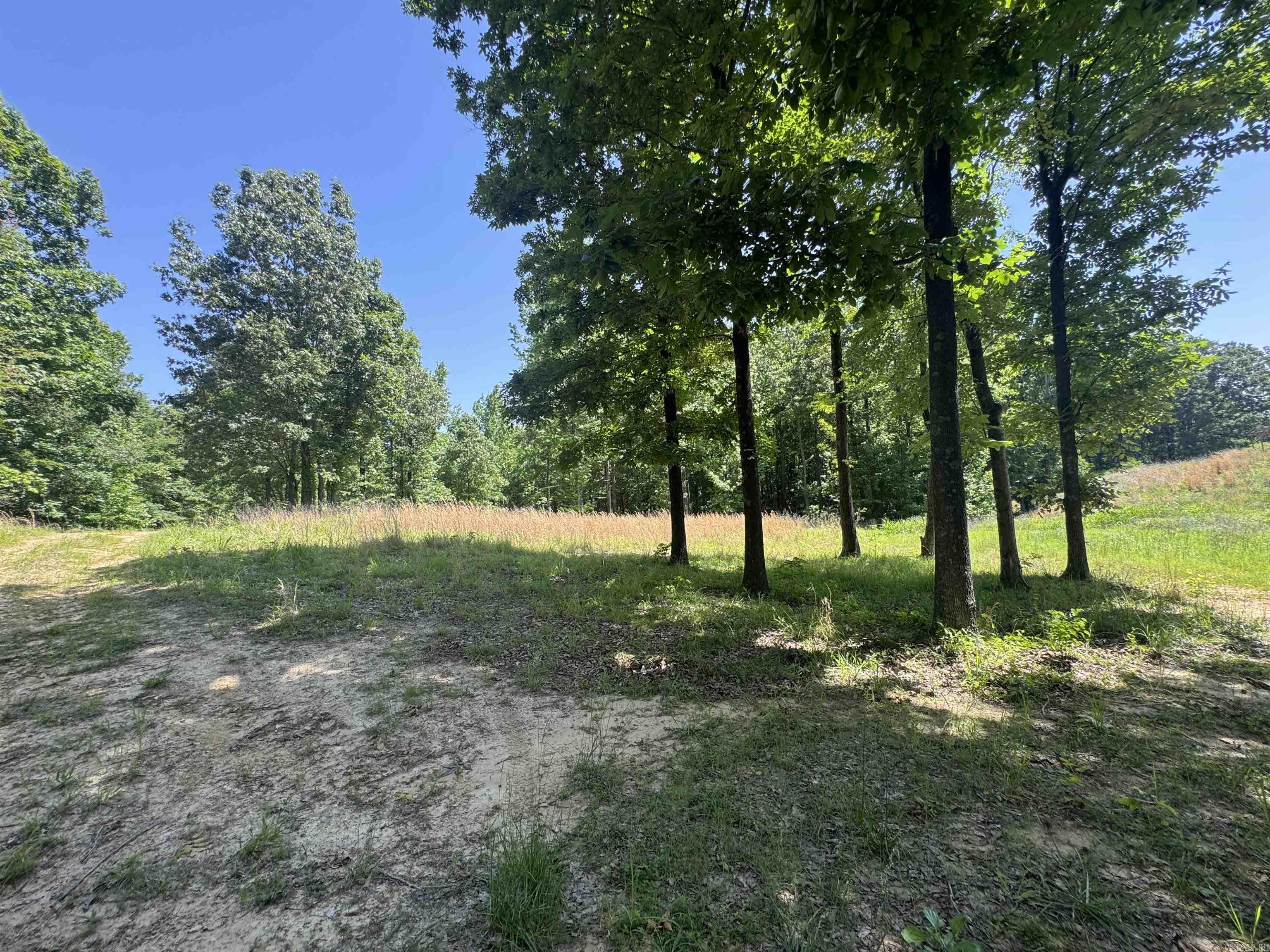 1096 CR 472  Piggott, AR