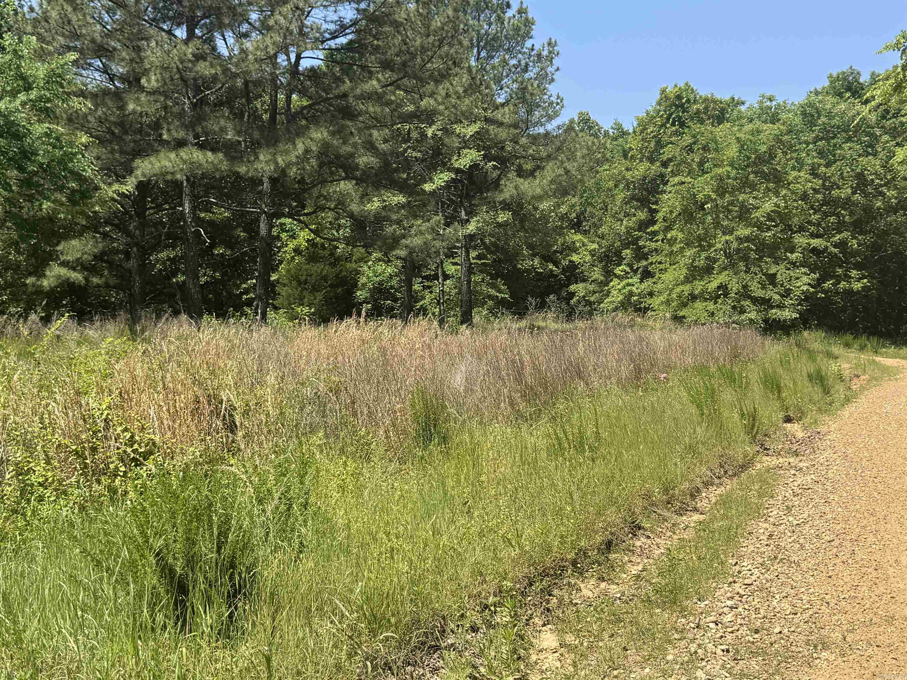 1096 CR 472  Piggott, AR