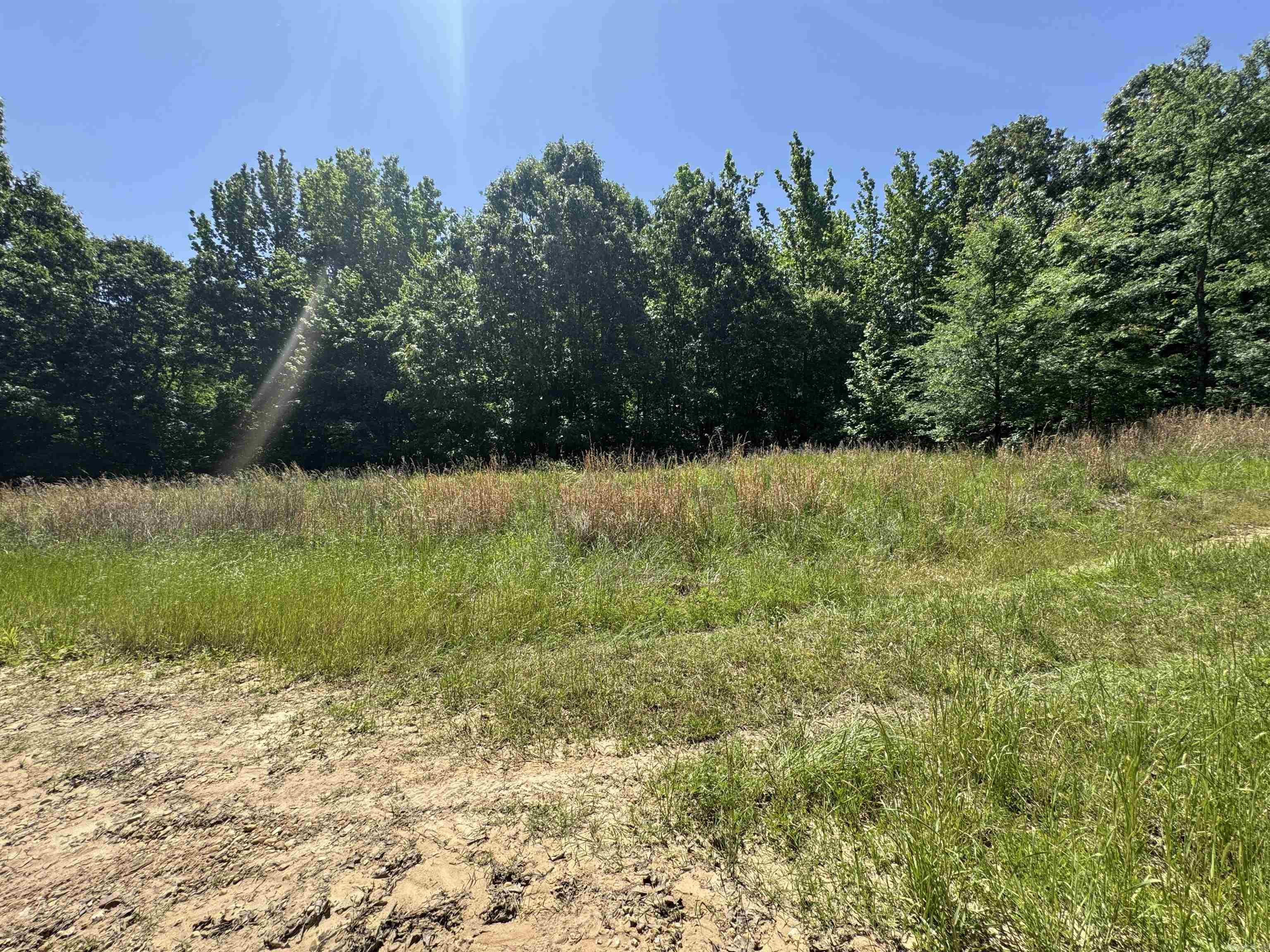 1096 CR 472  Piggott, AR