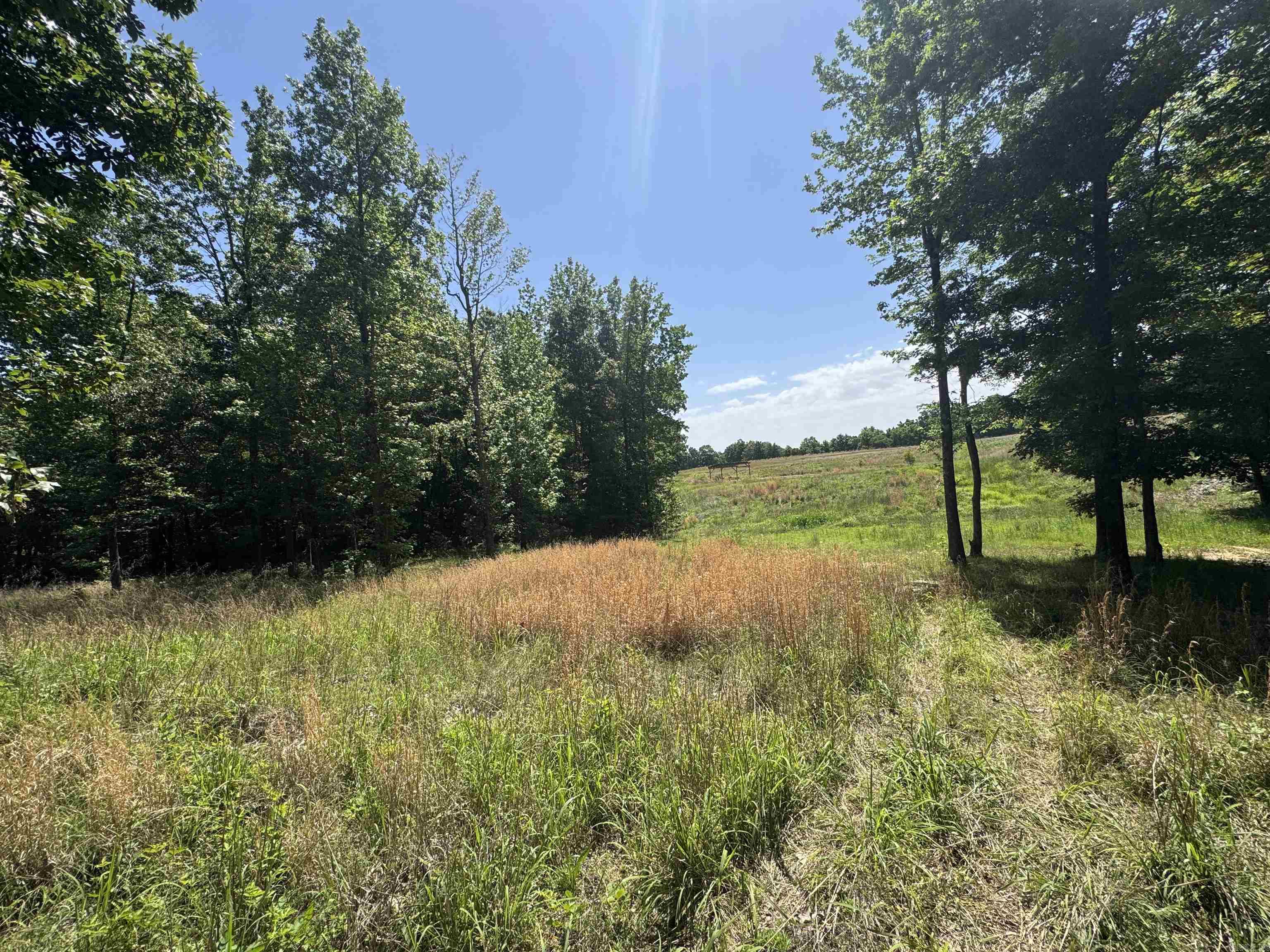 1096 CR 472  Piggott, AR