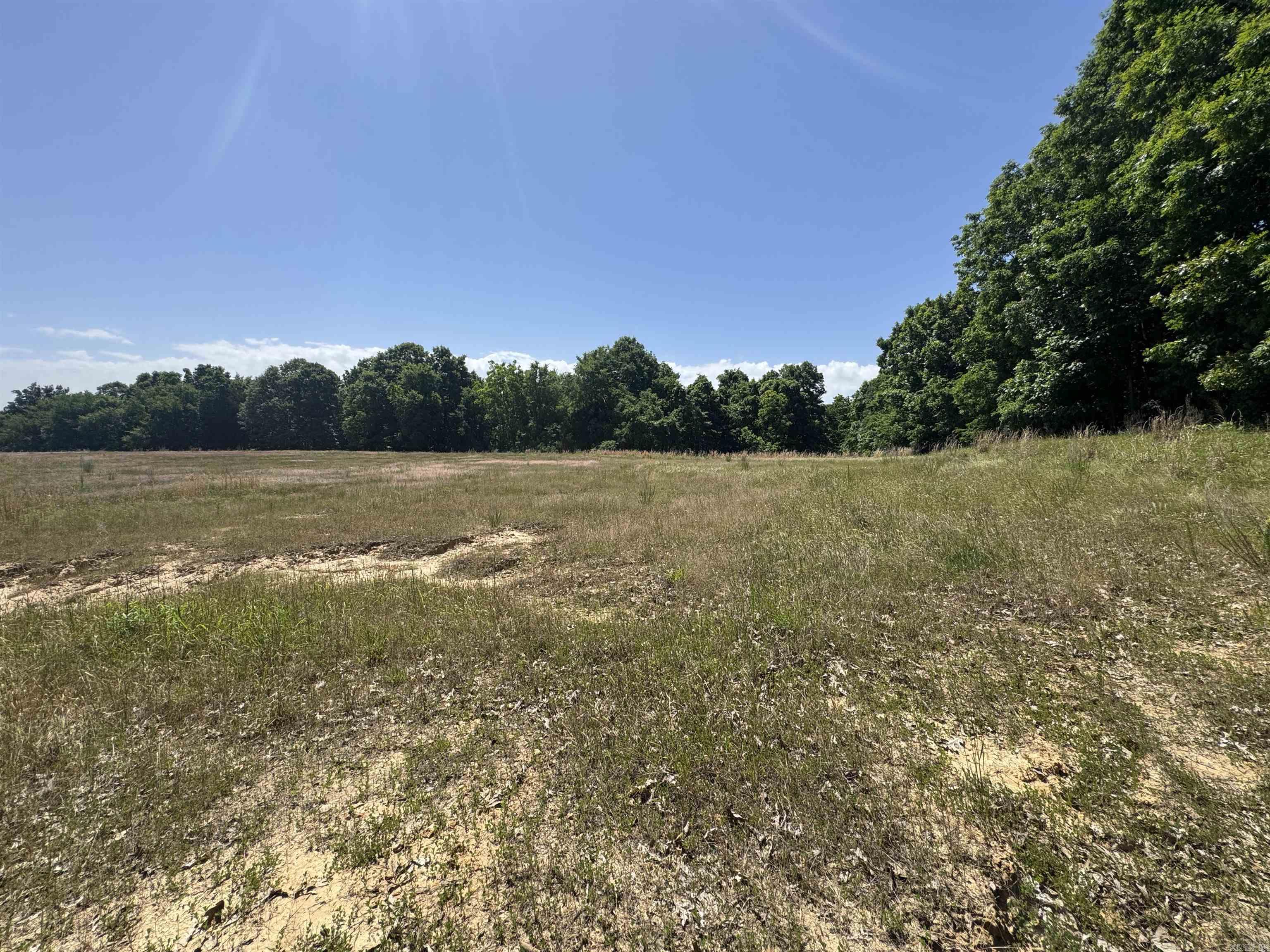 1096 CR 472  Piggott, AR