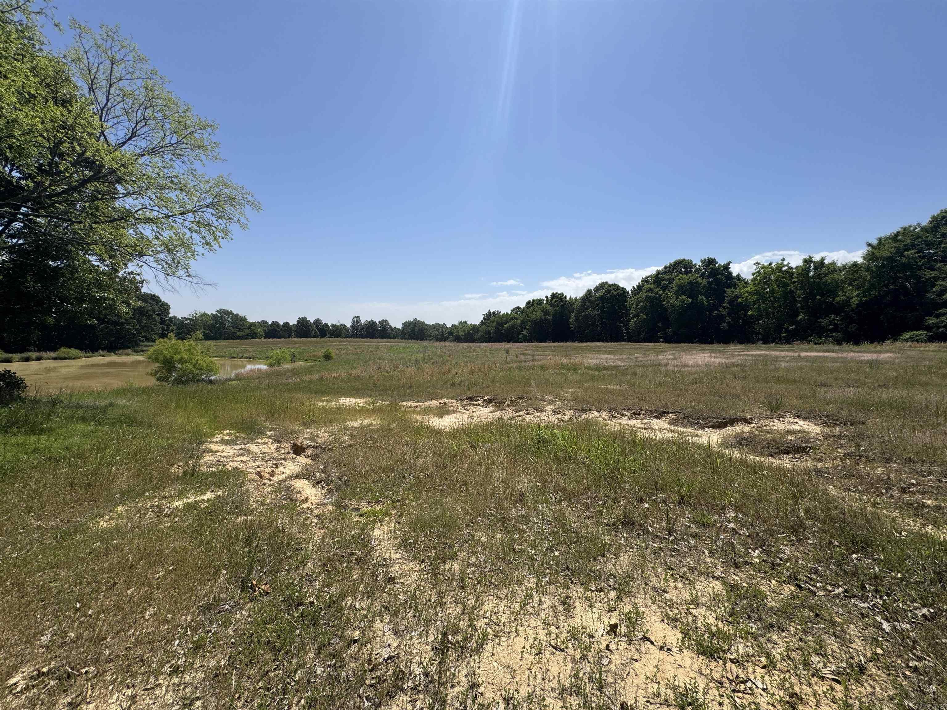1096 CR 472  Piggott, AR