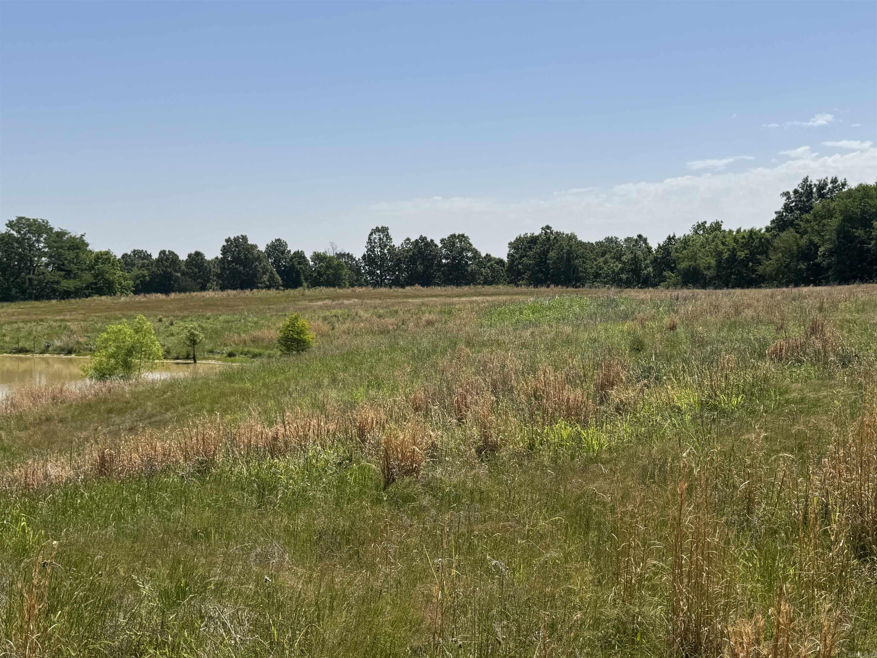 1096 CR 472  Piggott, AR
