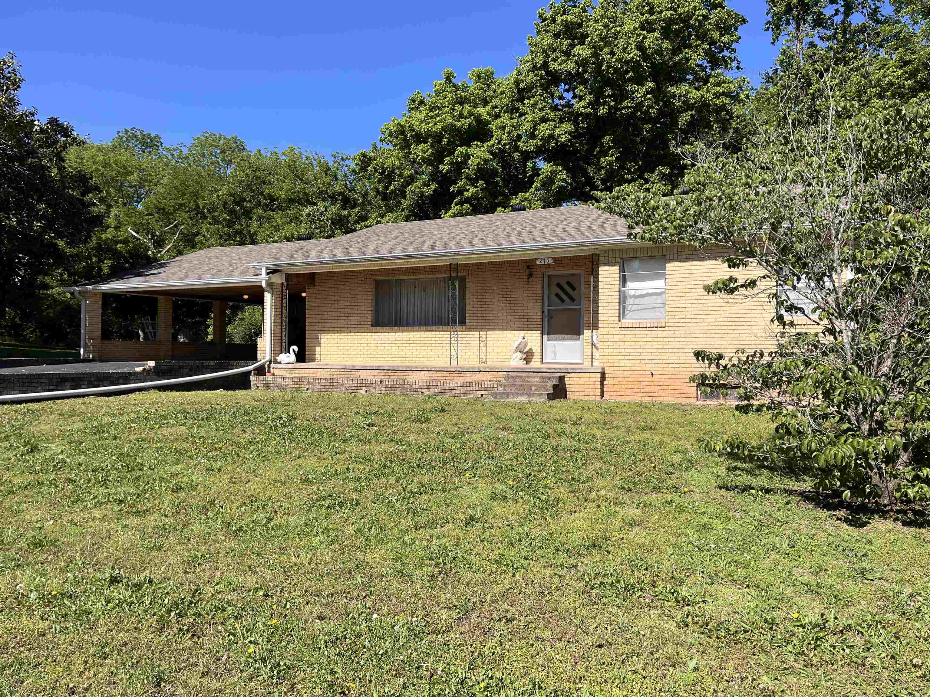 275 S third  Mammoth Spring, MO