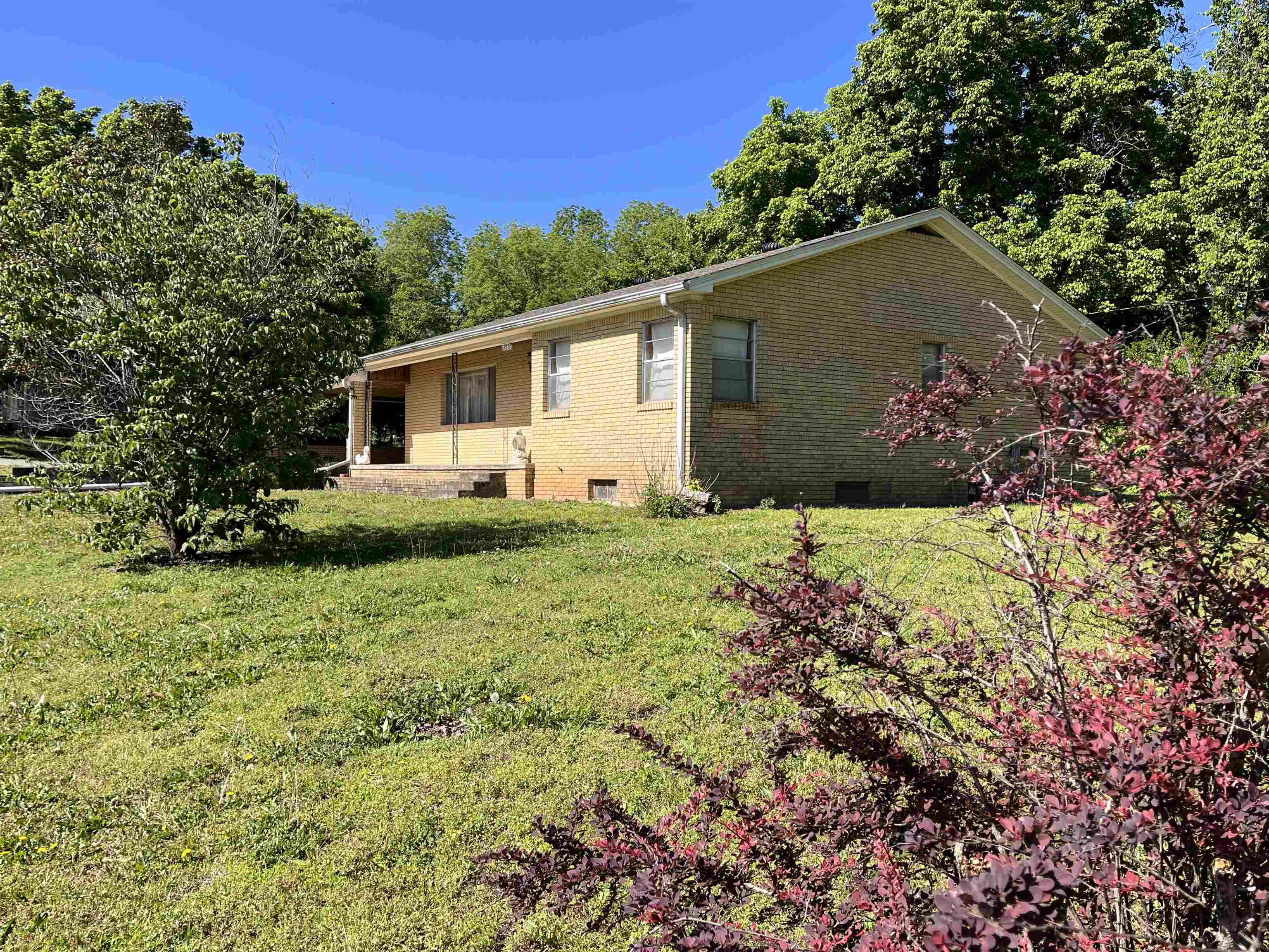 275 S third  Mammoth Spring, MO