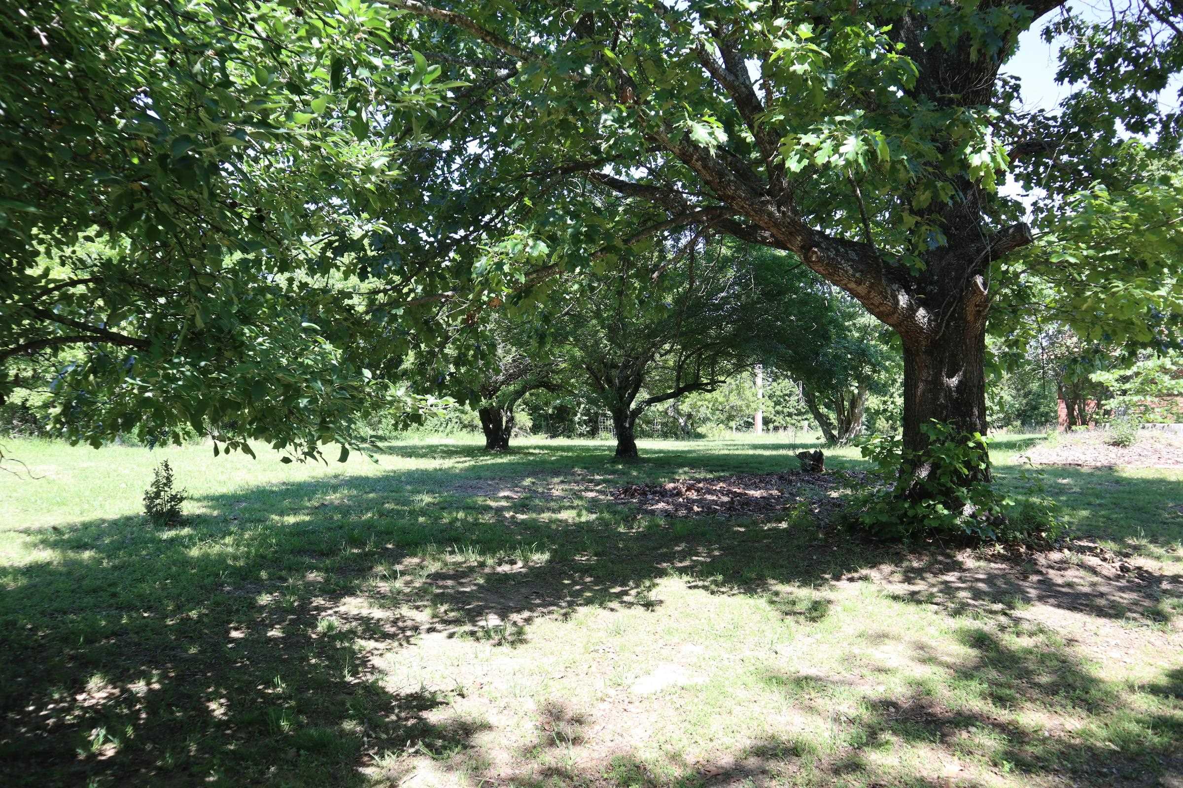 3863 Browns Chapel Rd  Viola, AR