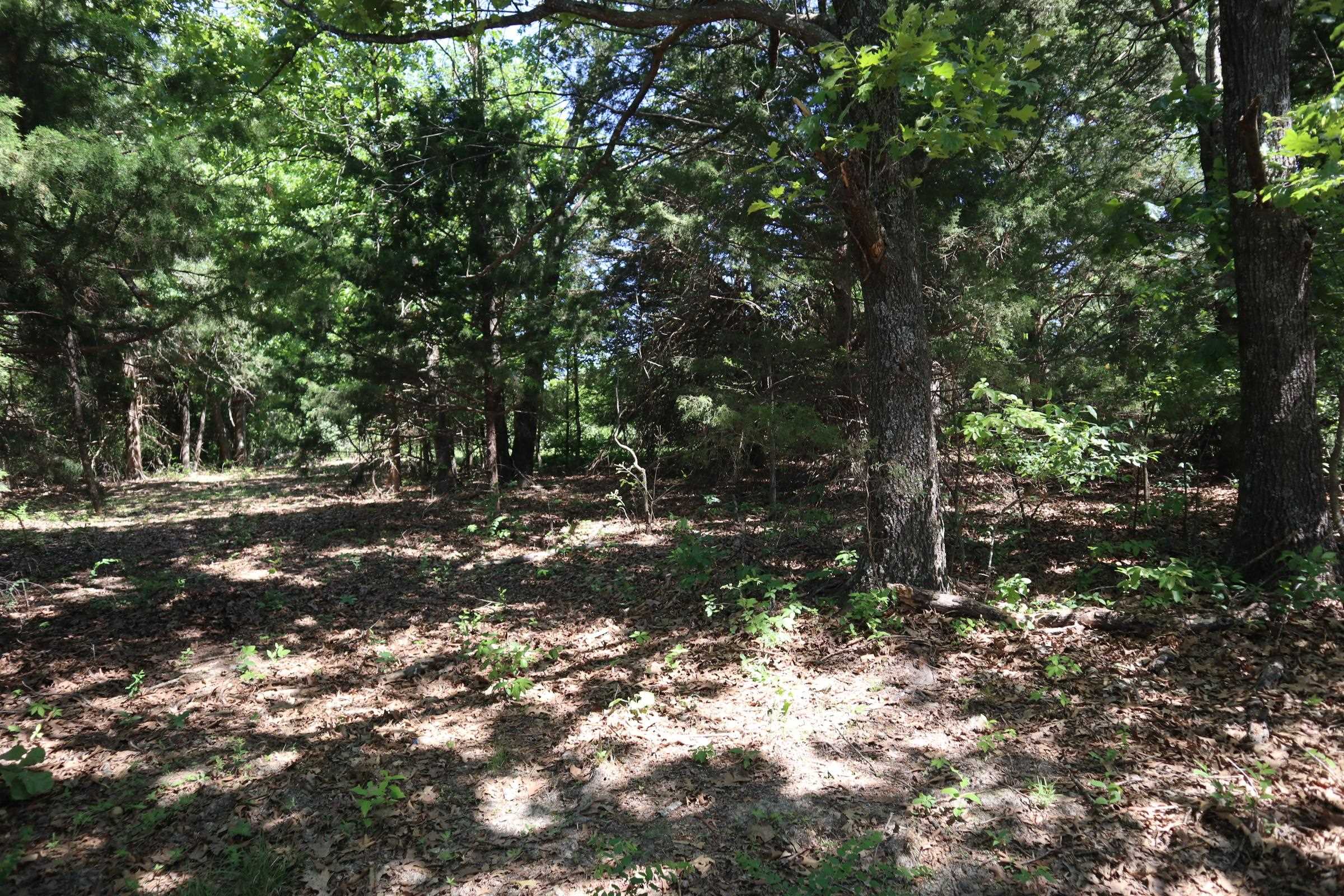 3863 Browns Chapel Rd  Viola, AR