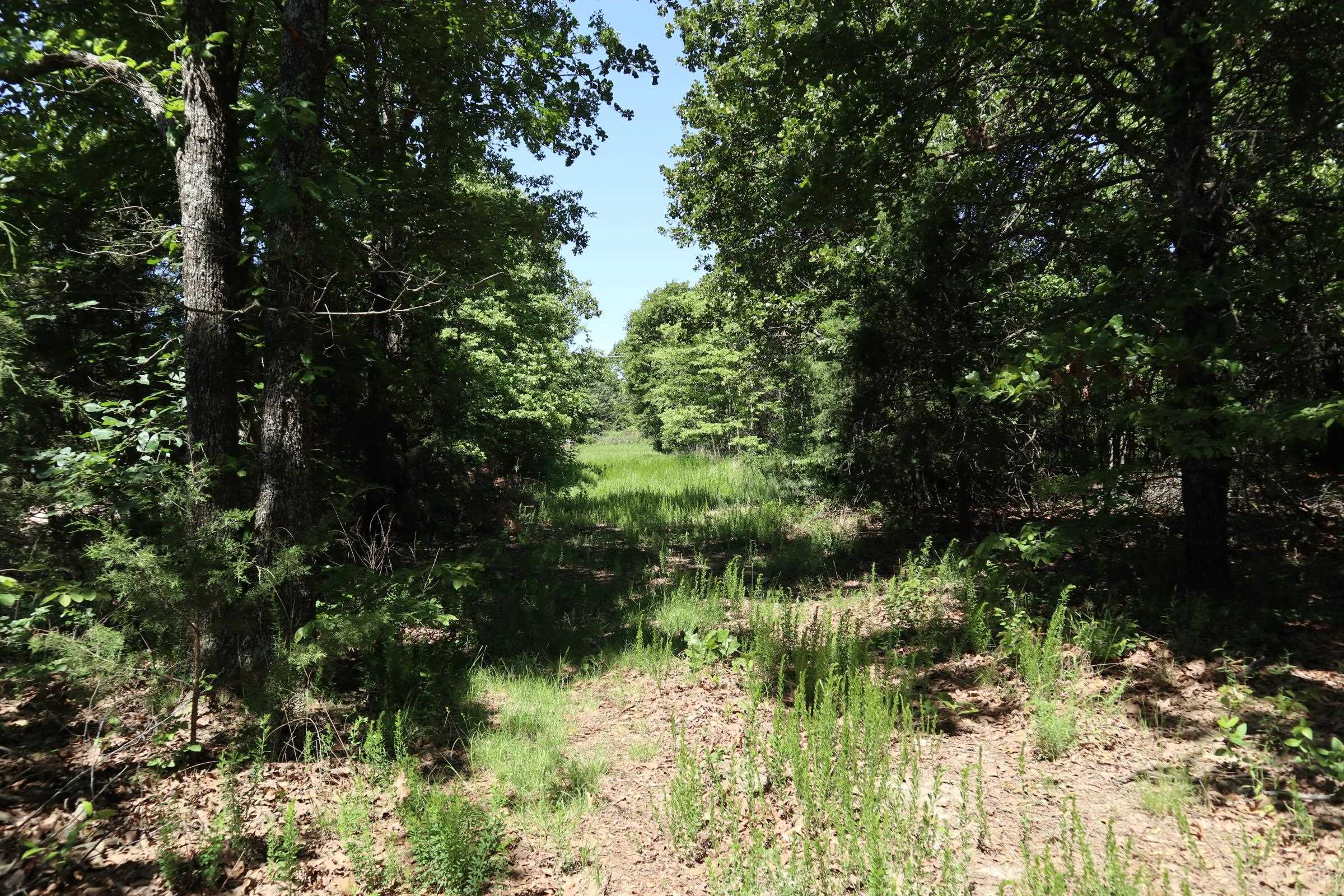 3863 Browns Chapel Rd  Viola, AR