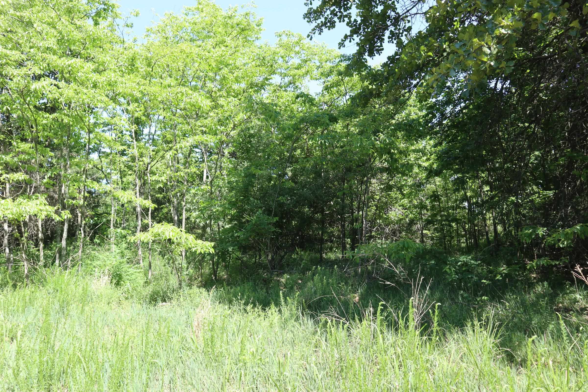3863 Browns Chapel Rd  Viola, AR