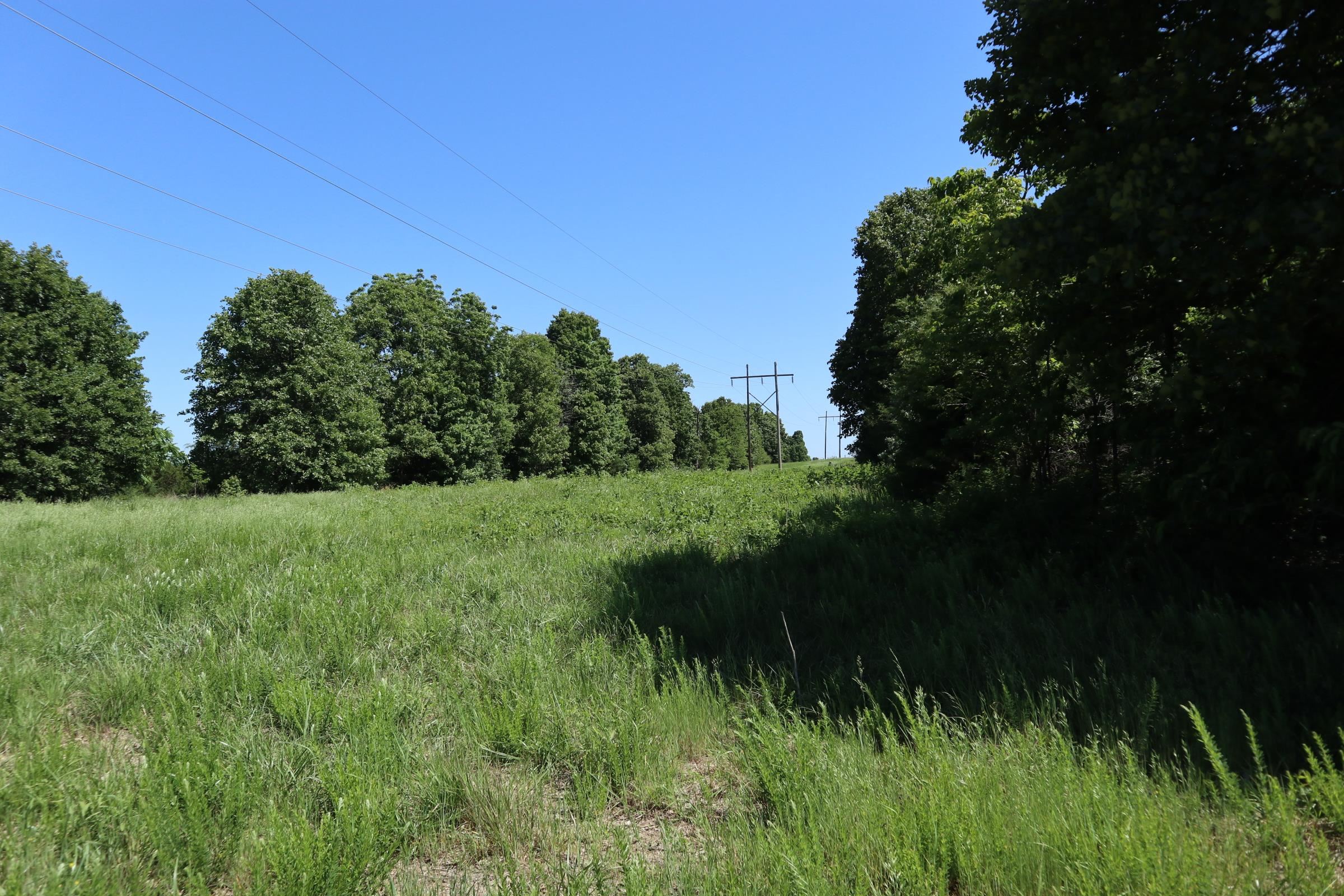 3863 Browns Chapel Rd  Viola, AR