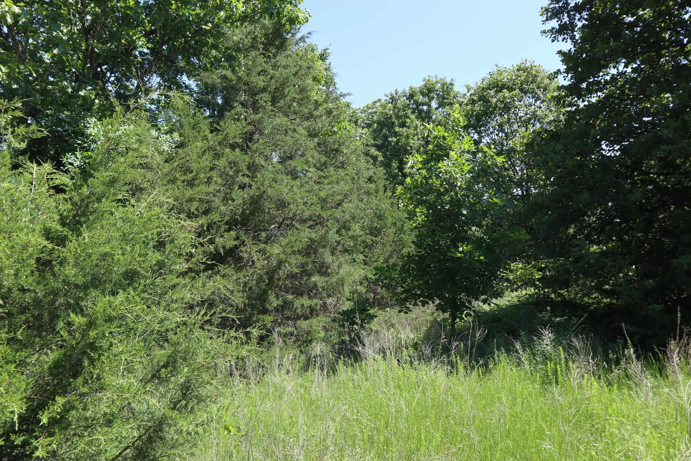 3863 Browns Chapel Rd  Viola, AR