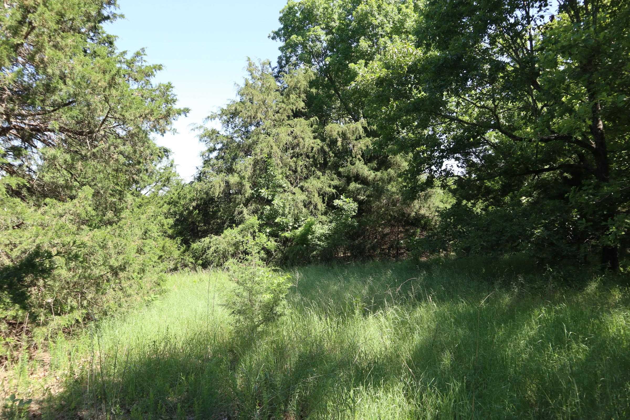 3863 Browns Chapel Rd  Viola, AR