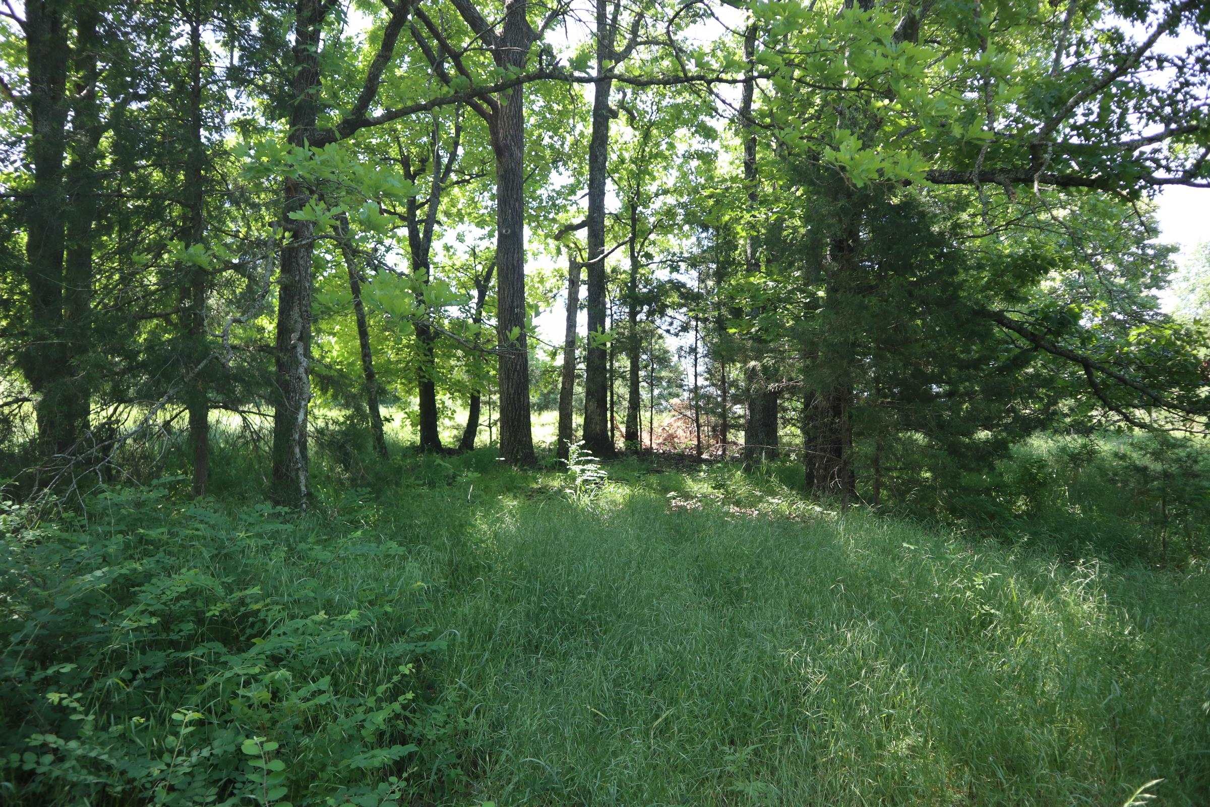 3863 Browns Chapel Rd  Viola, AR