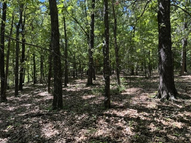 3863 Browns Chapel Rd  Viola, AR