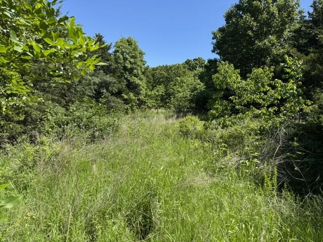 3863 Browns Chapel Rd  Viola, AR