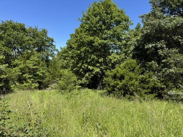 3863 Browns Chapel Rd  Viola, AR