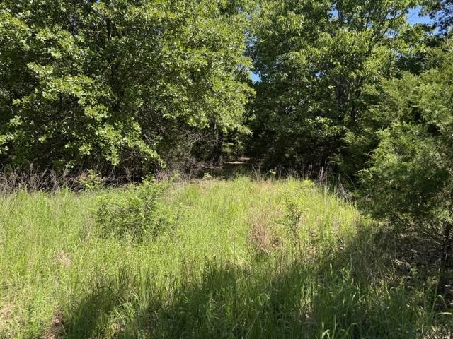 3863 Browns Chapel Rd  Viola, AR