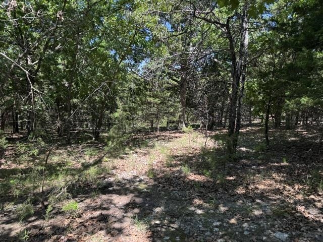 3863 Browns Chapel Rd  Viola, AR