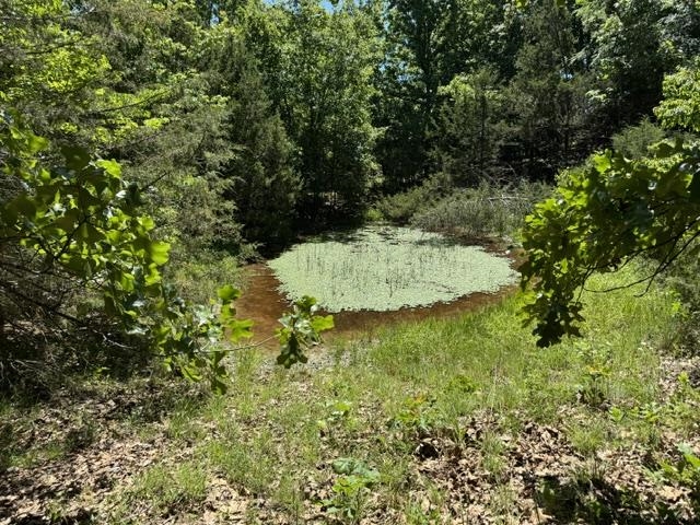 3863 Browns Chapel Rd  Viola, AR