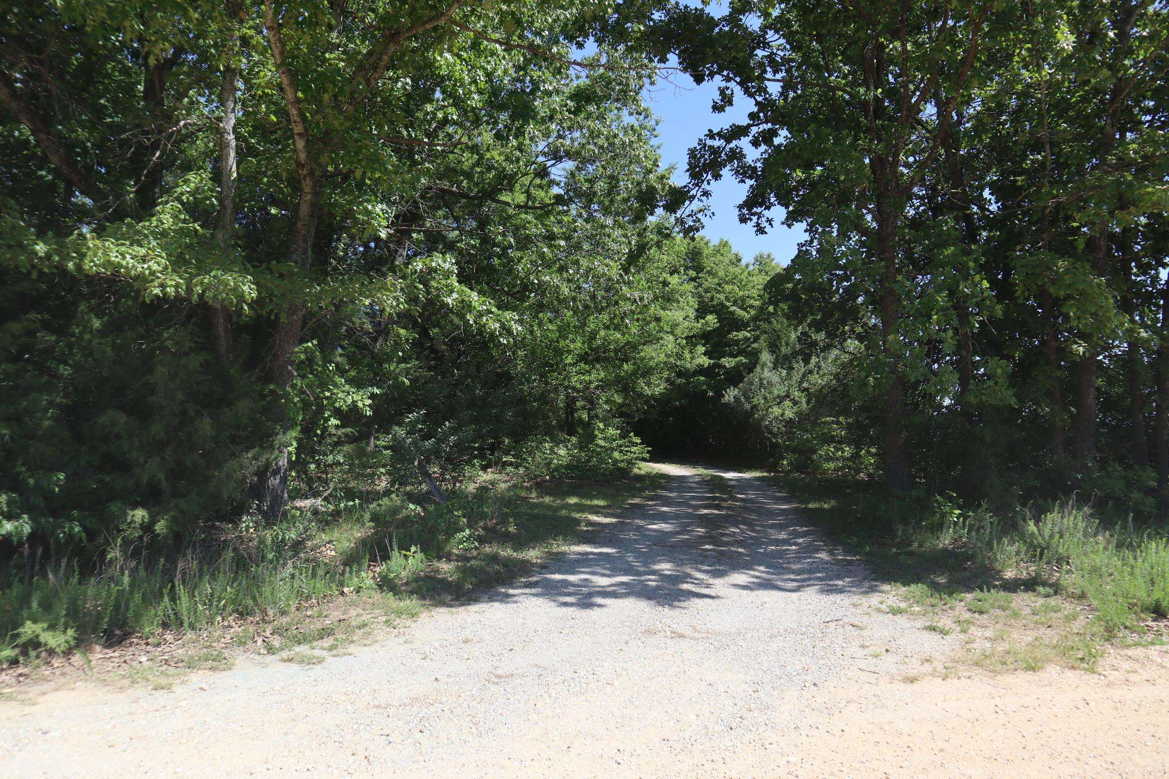 3863 Browns Chapel Rd  Viola, AR