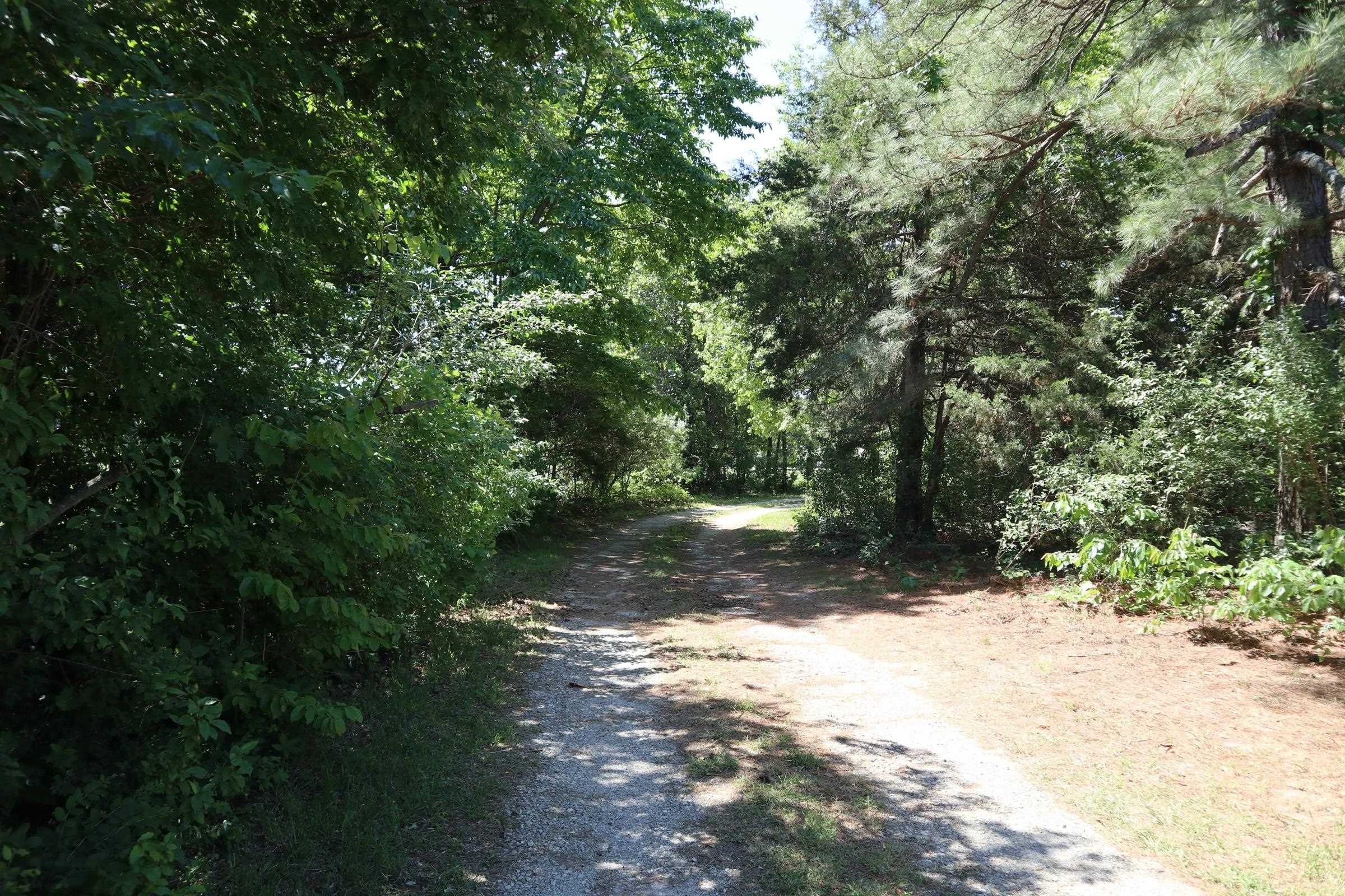 3863 Browns Chapel Rd  Viola, AR